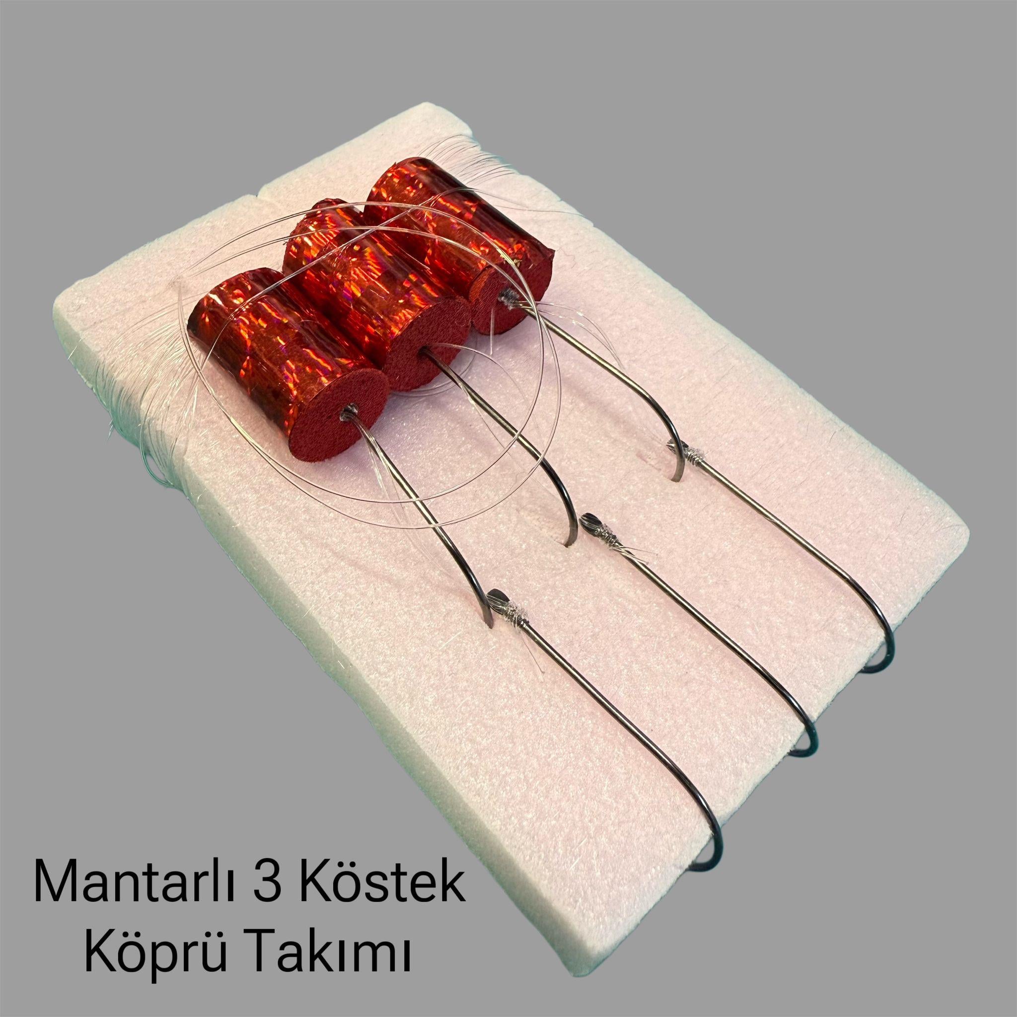 Köprü Asansör Takımı