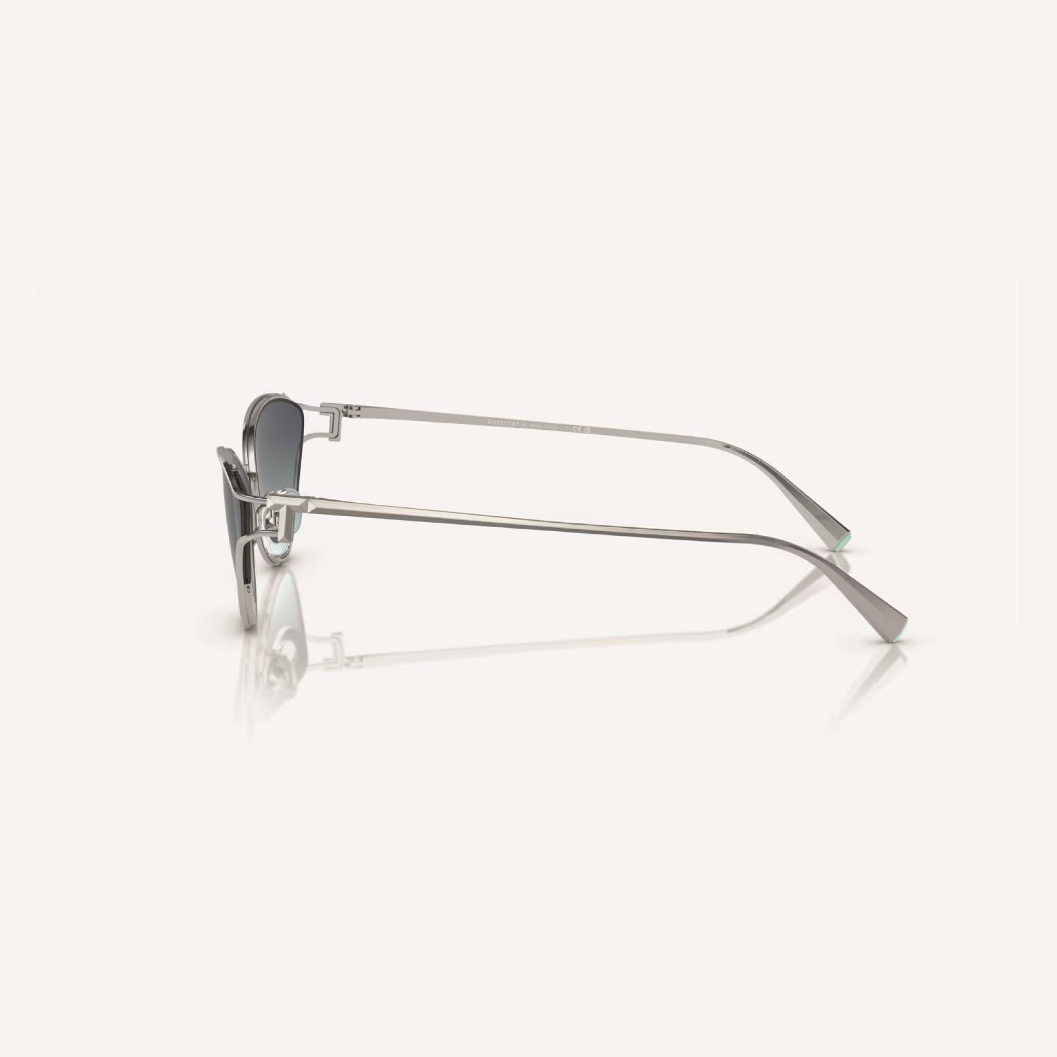 TIFFANY &CO 3095 6001 61 16 Güneş Gözlüğü
