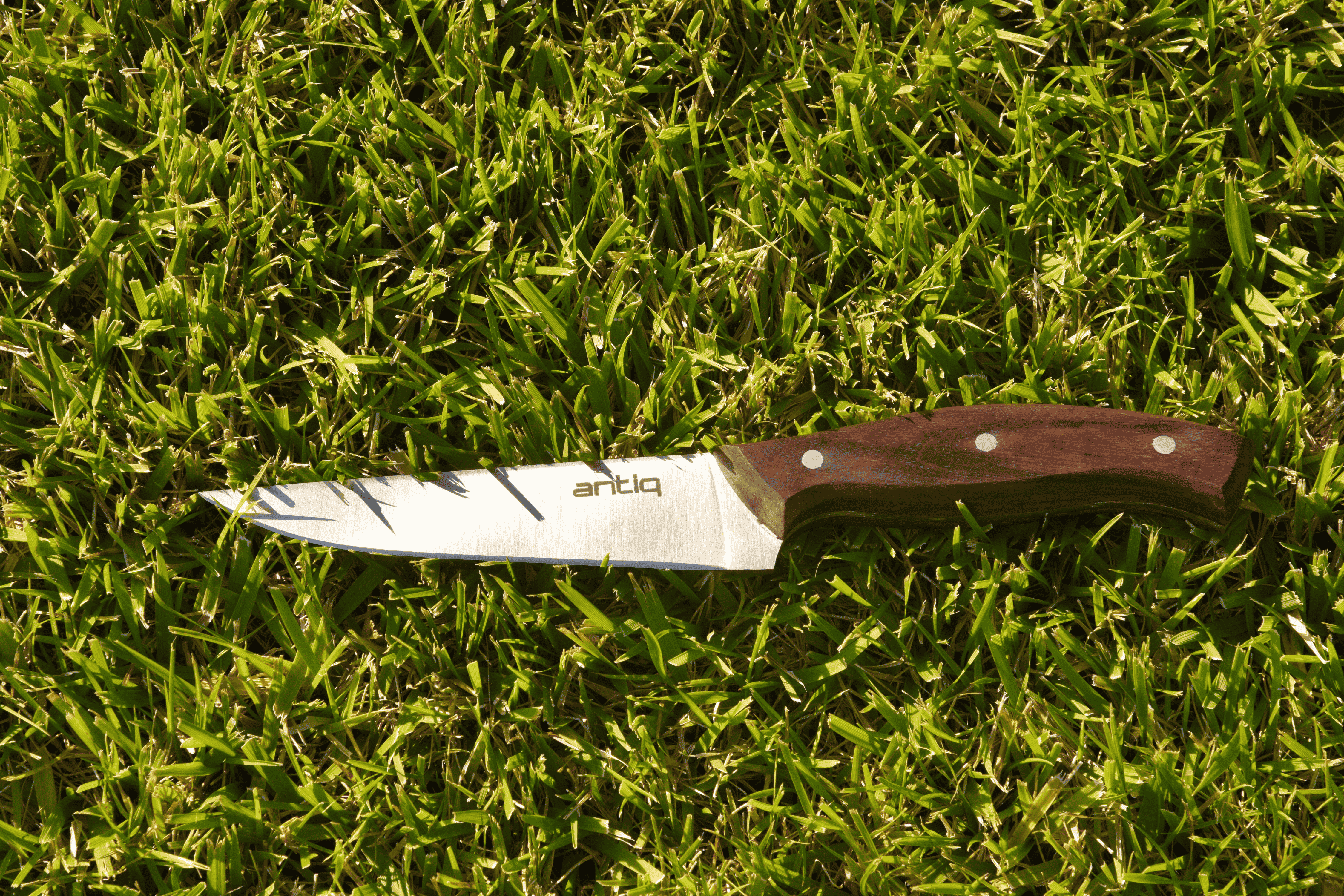 Antiq Ares Şef Bıçağı - Ceviz Sap 15 cm