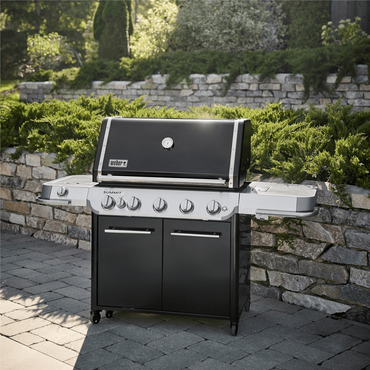 Weber 4550631 Summit FS38 E Gas Barbecue