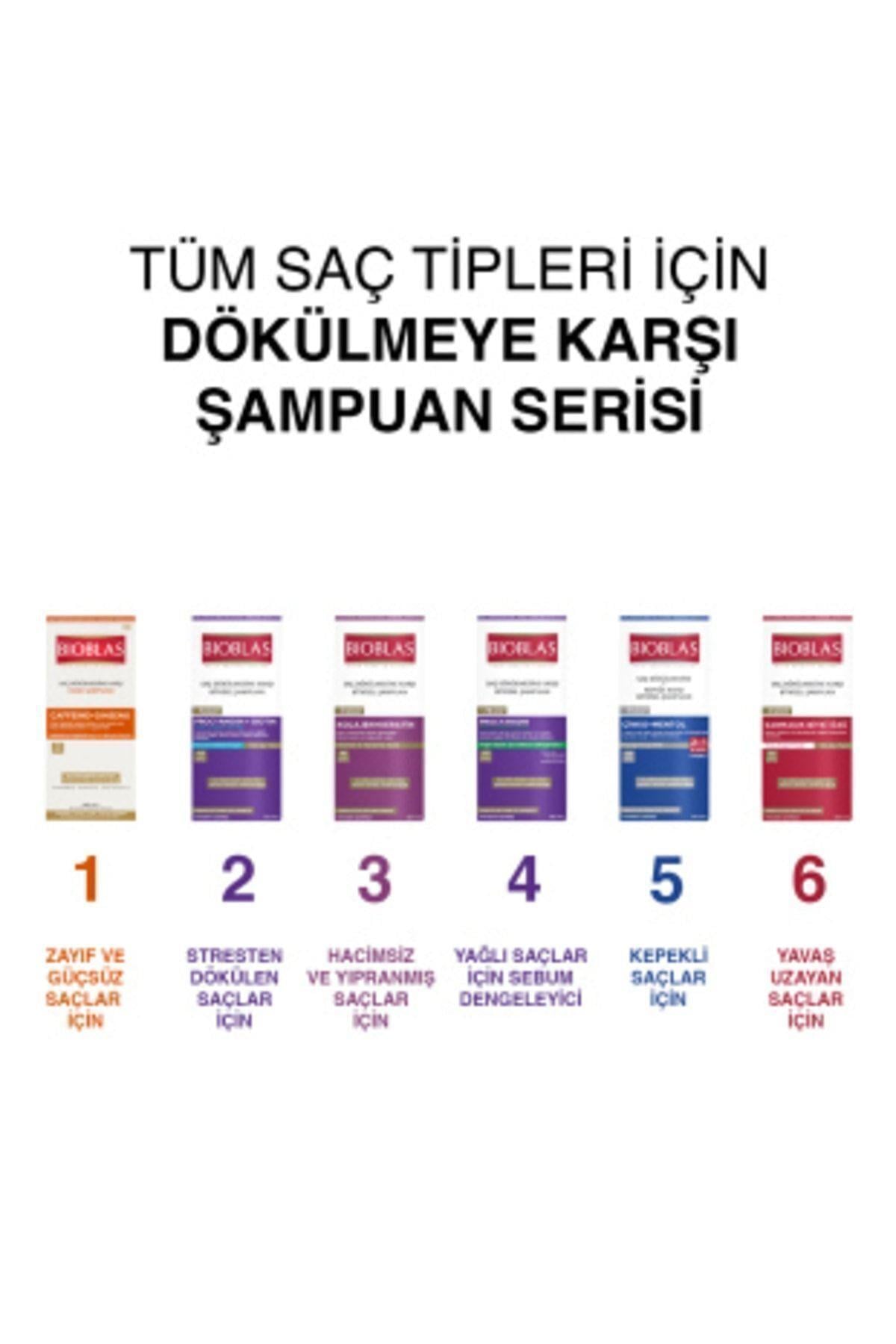 Bioblas 2’si 1 Arada Kepek Karşıtı Şampuan – Mentol Ferahlığı 360 ML