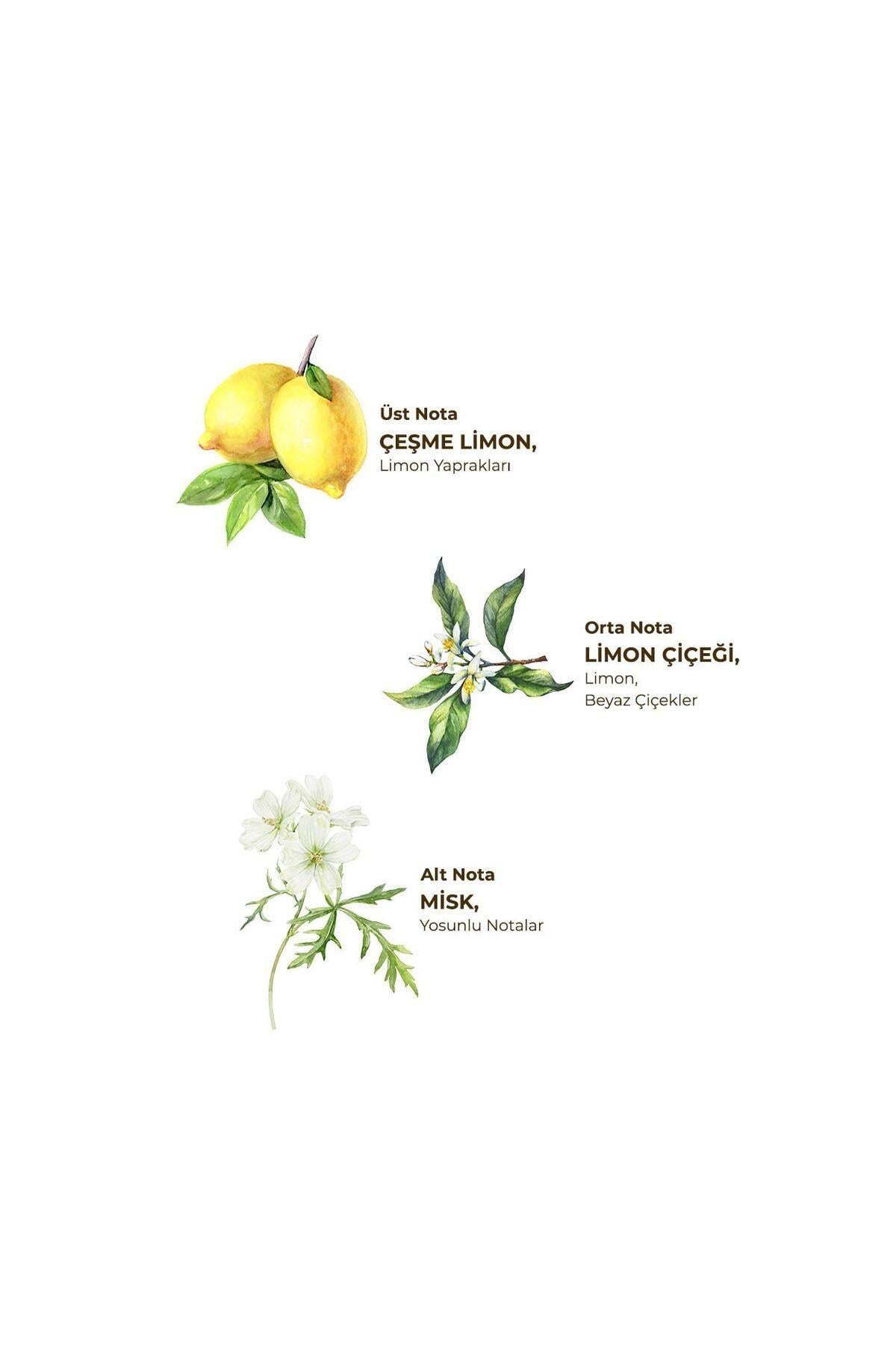 Eyüp Sabri Tuncer Çeşme Limonu 150 ml Sprey Kolonya - Pet Şişe