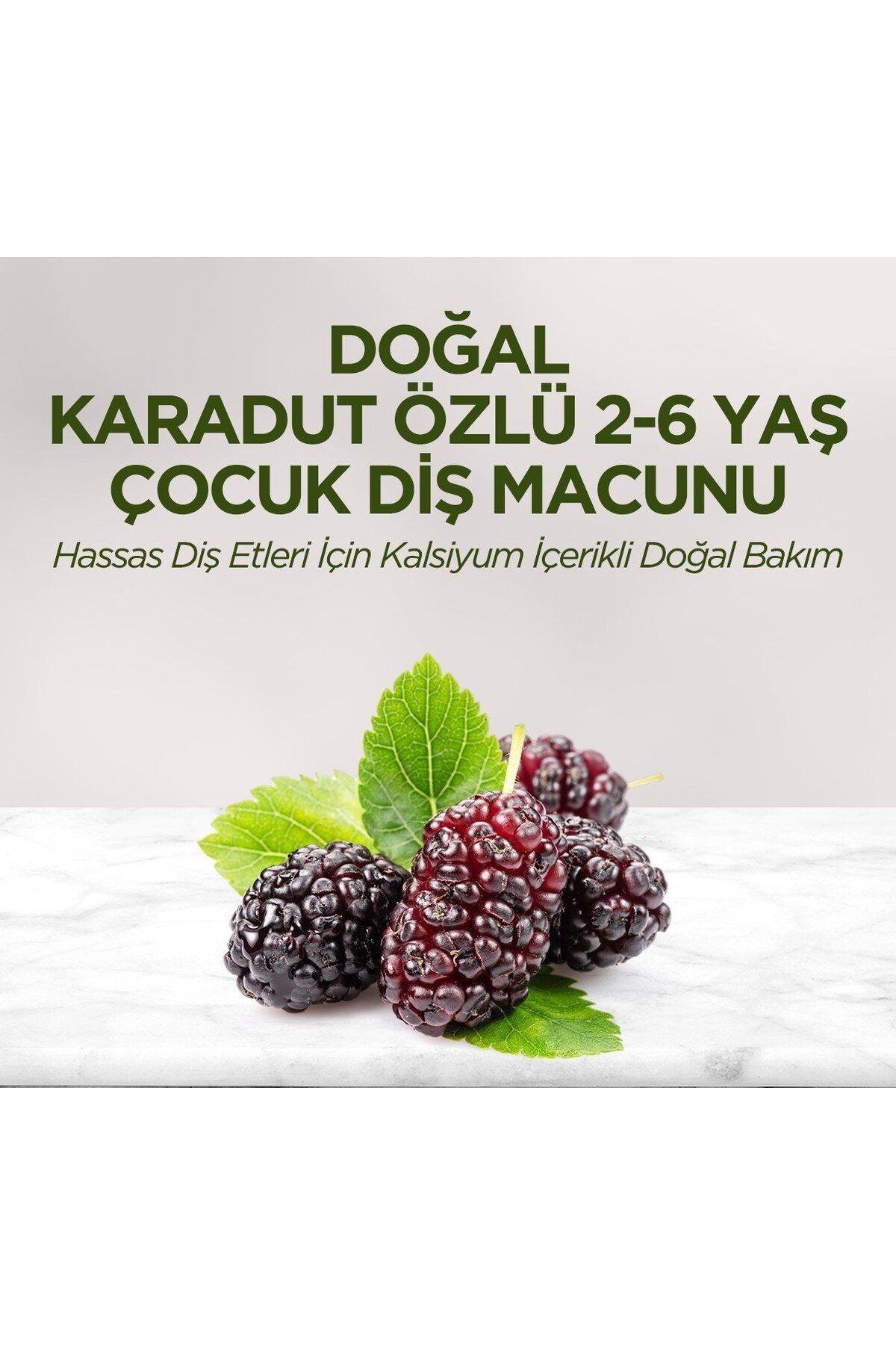 Eyüp Sabri Tuncer Doğal Karadut Özlü 2-6 Yaş Çocuk Diş Macunu 60 Ml