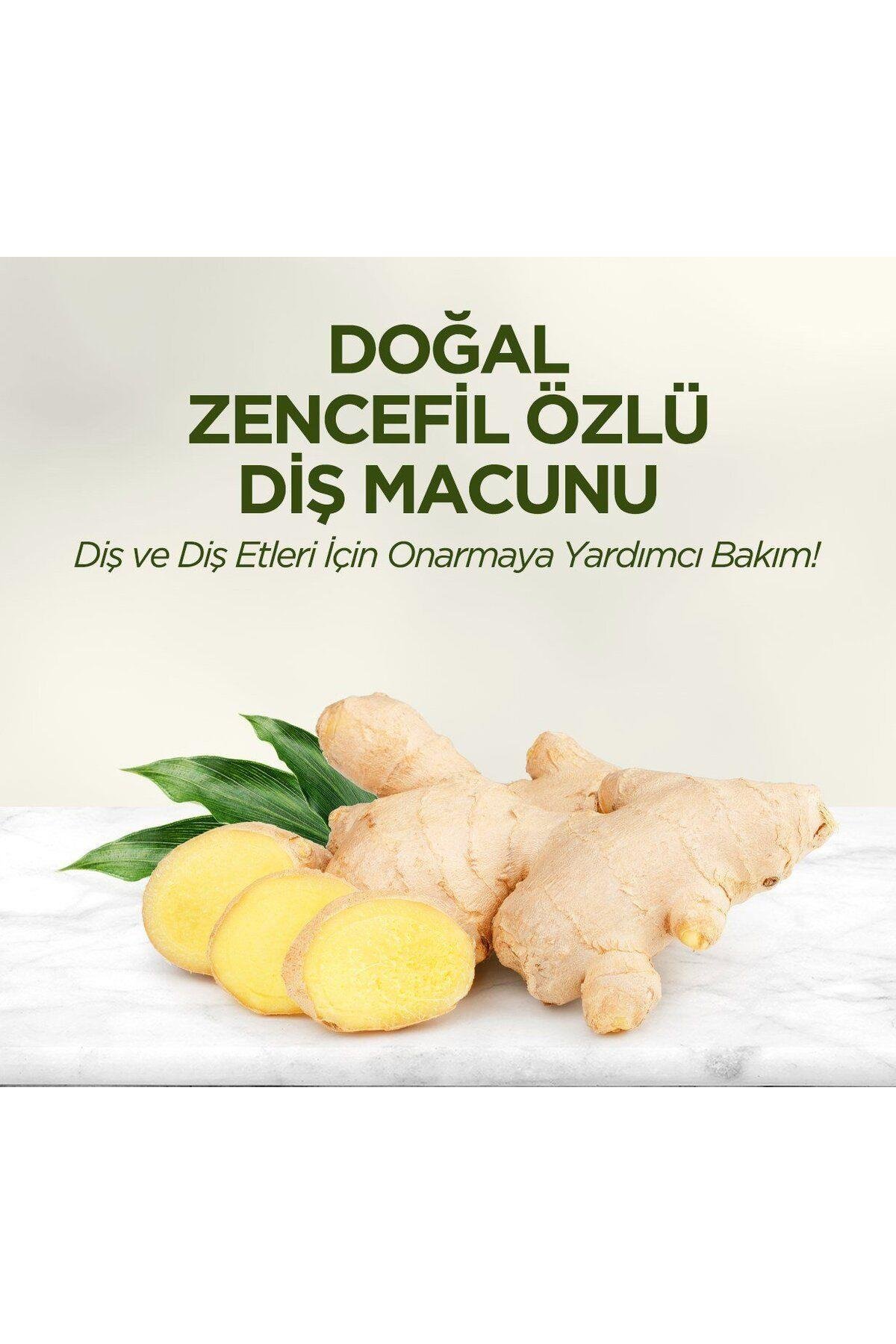 Eyüp Sabri Tuncer Doğal Zencefil Özlü Diş Macunu 90 ml