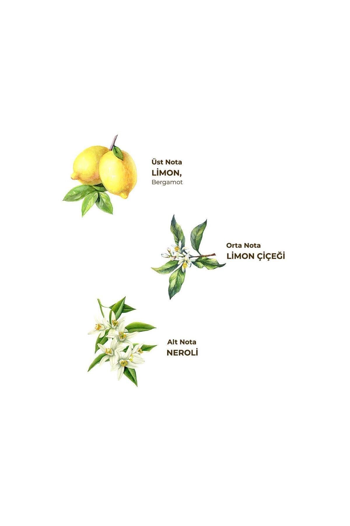 Eyüp Sabri Tuncer Klasik Limon Kolonyası 200 ml - Pet Şişe