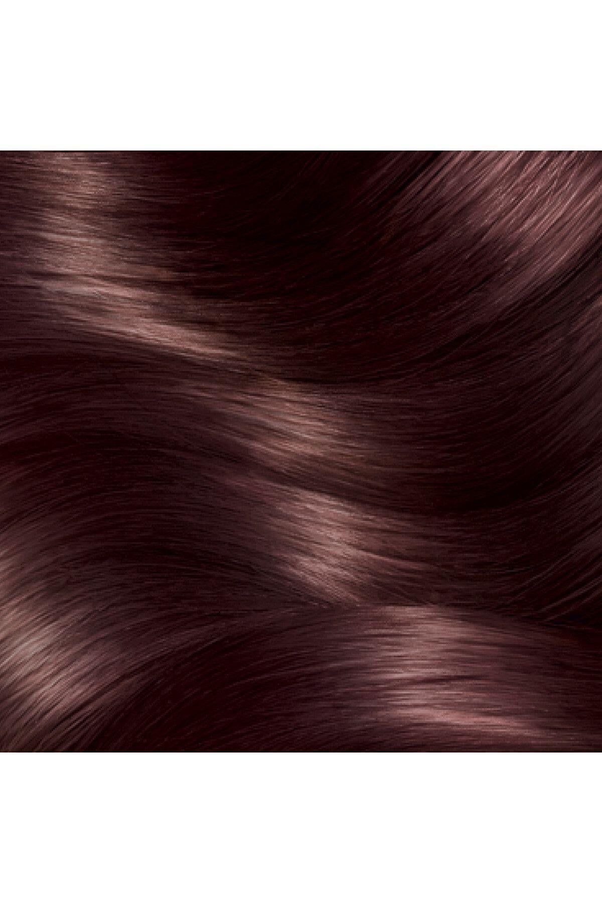 Garnier Çarpıcı Renkler 4.15 Buzlu Kestane
