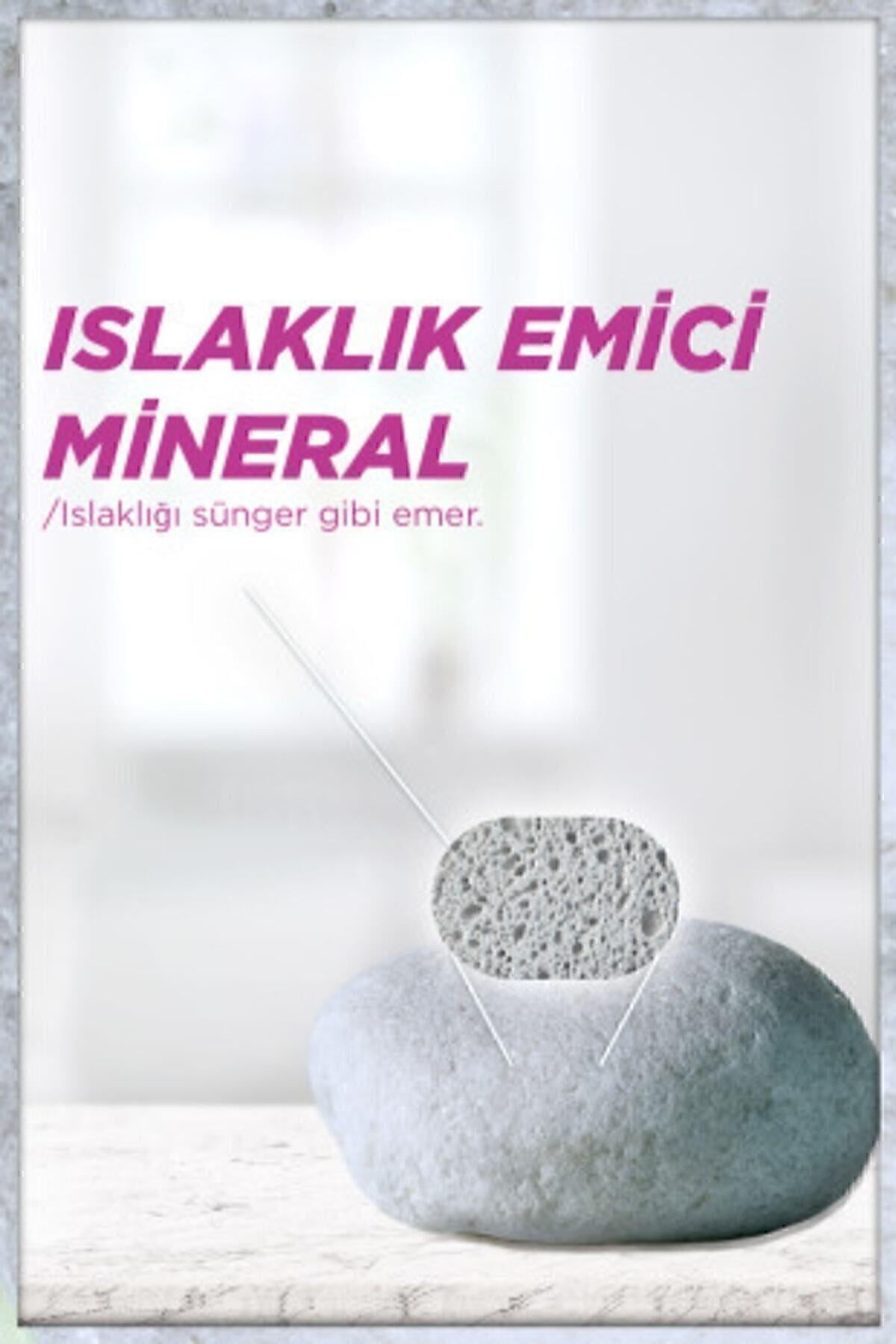 Garnier Mineral Ultra Kuru Kadın Roll-On Deodorant 3600541932623