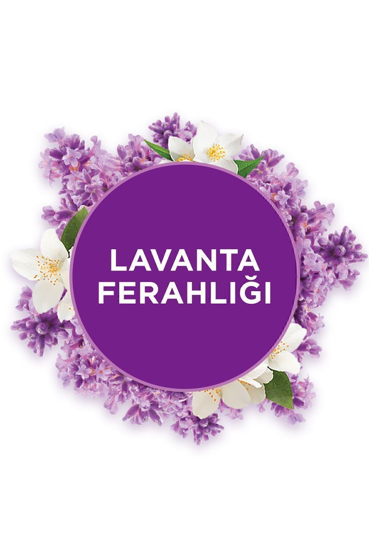 Glade Banyo Cihaz Ve Yedek Lavanta, 10 Ml