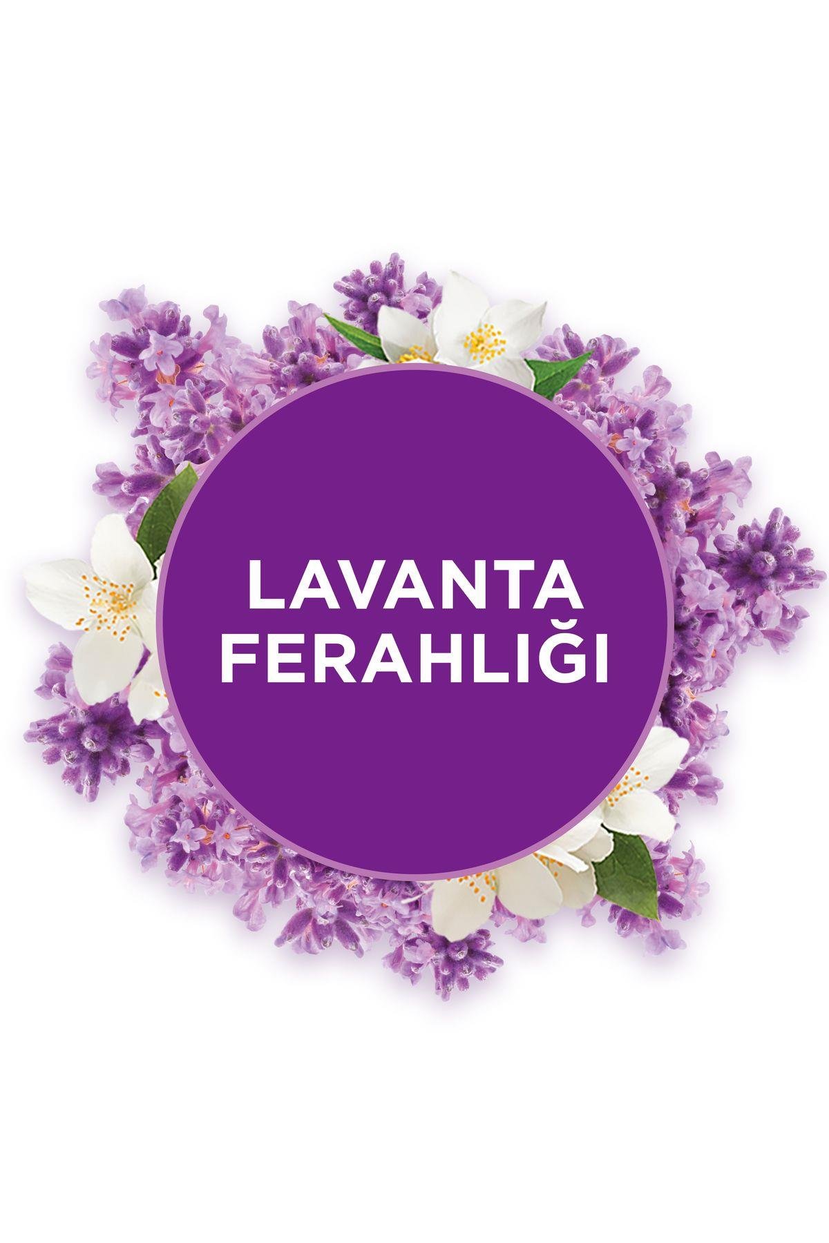 Glade Banyo Hava Tazeleyici Yedek Lavanta Ferahlığı 10 ml