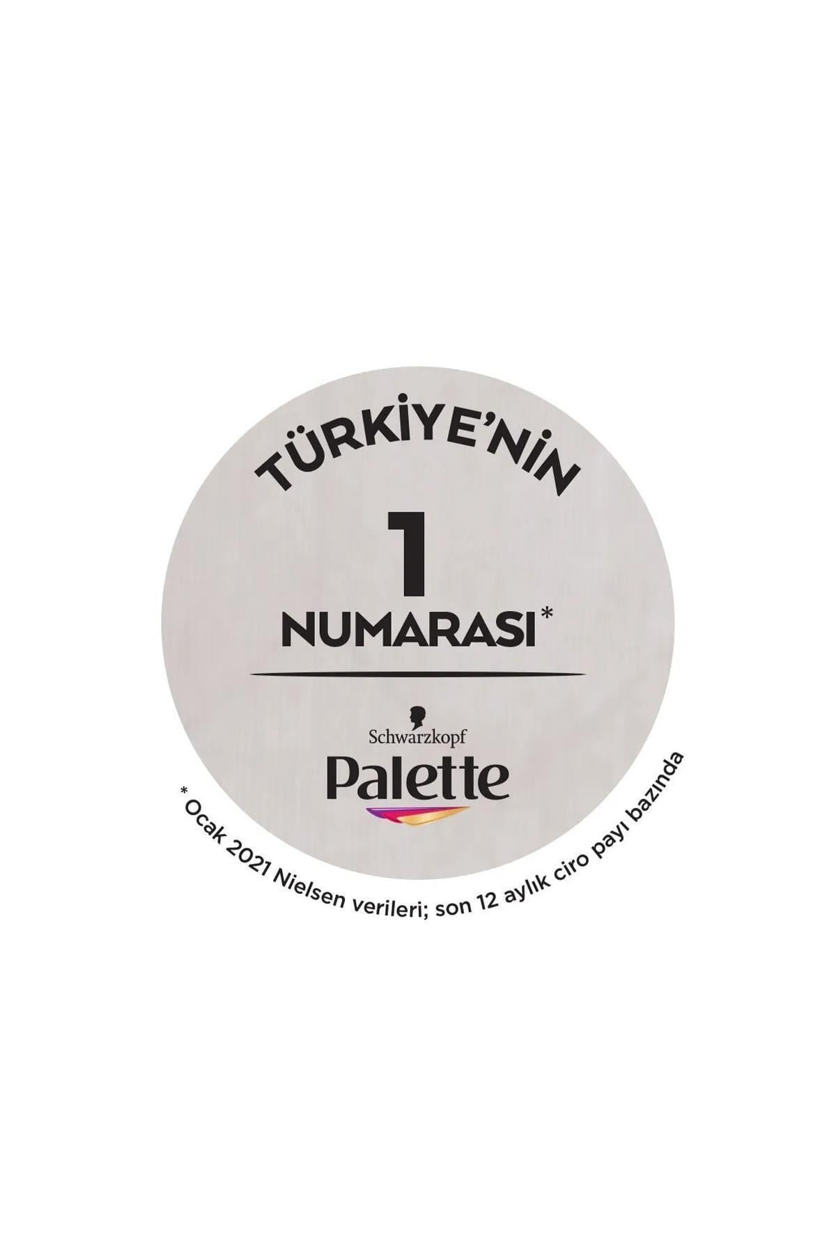 Palette Kalıcı Doğal Renkler Saç Boyası No: 8.16 Küllü Sarı