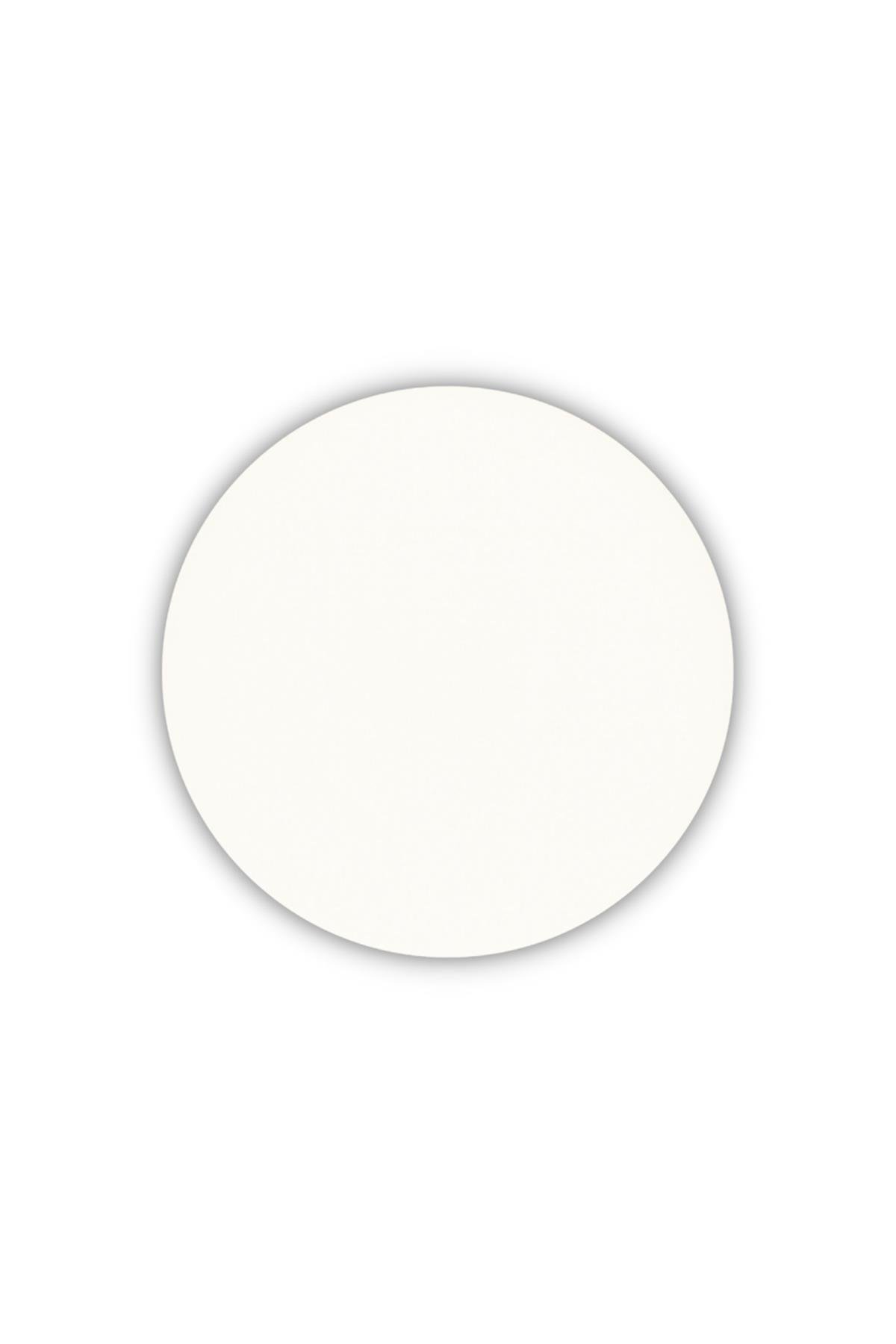 Pastel Profashıon Beauty Fılter Fıxıng Powder 00