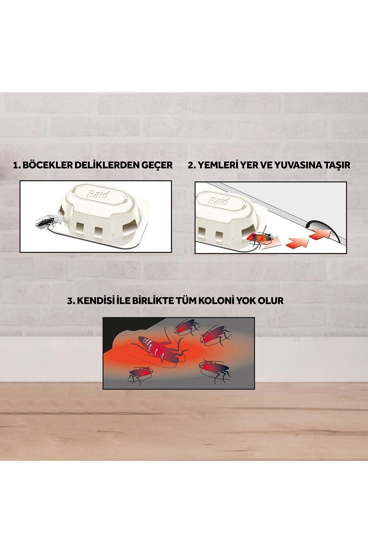 Raid Hamam Böceği Yemi 6’lı Her Tablet ile 3 Ay Koruma