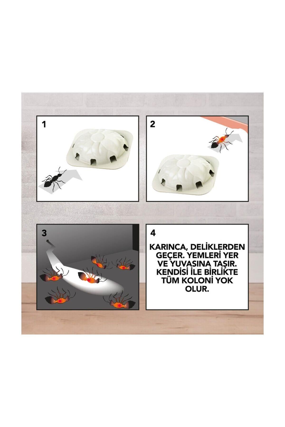Raid Karınca Yemi 2'li, Her Tablet Ile 3 Ay Koruma