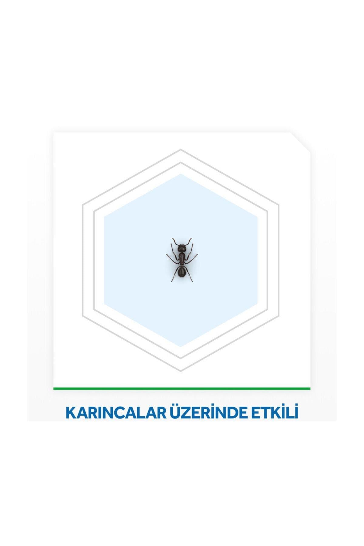 Raid Karınca Yemi 2'li, Her Tablet Ile 3 Ay Koruma