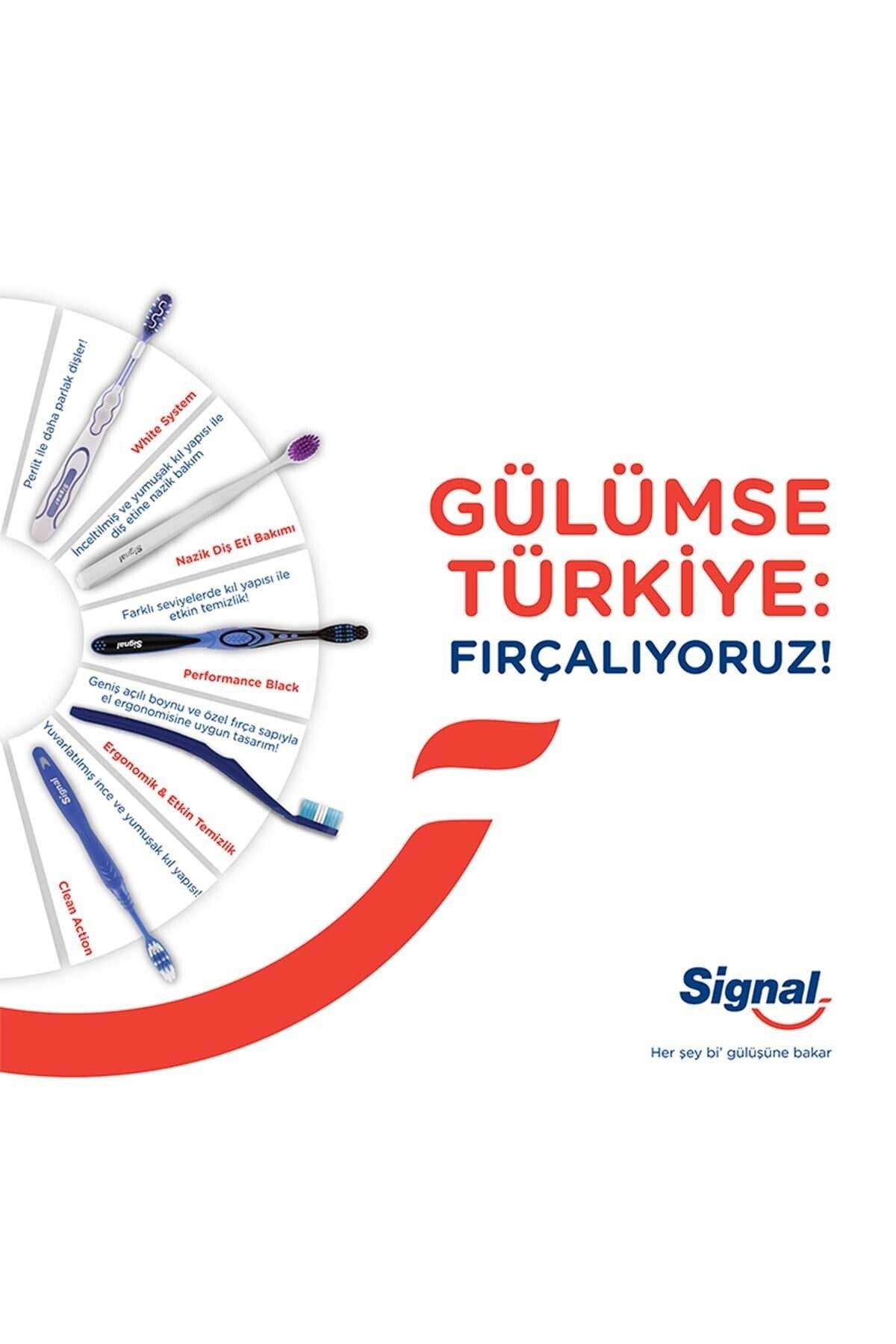 Signal SİGNAL PERFORMANS 2+1 DİŞ FIRÇASI