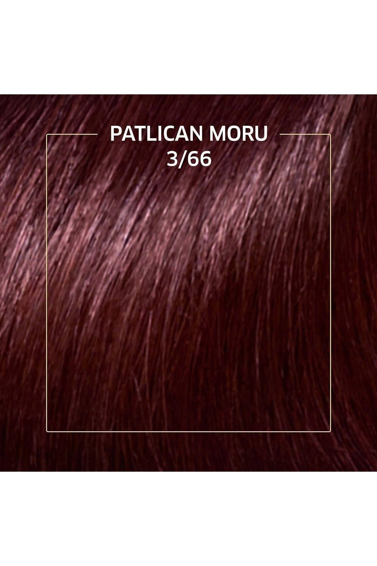 Wella Koleston Kit Patlıcan Moru Set 3.66