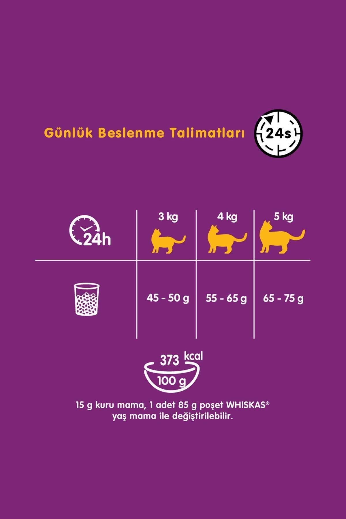 Whiskas Biftekli Havuçlu Kuru Kedi Maması 300 gr