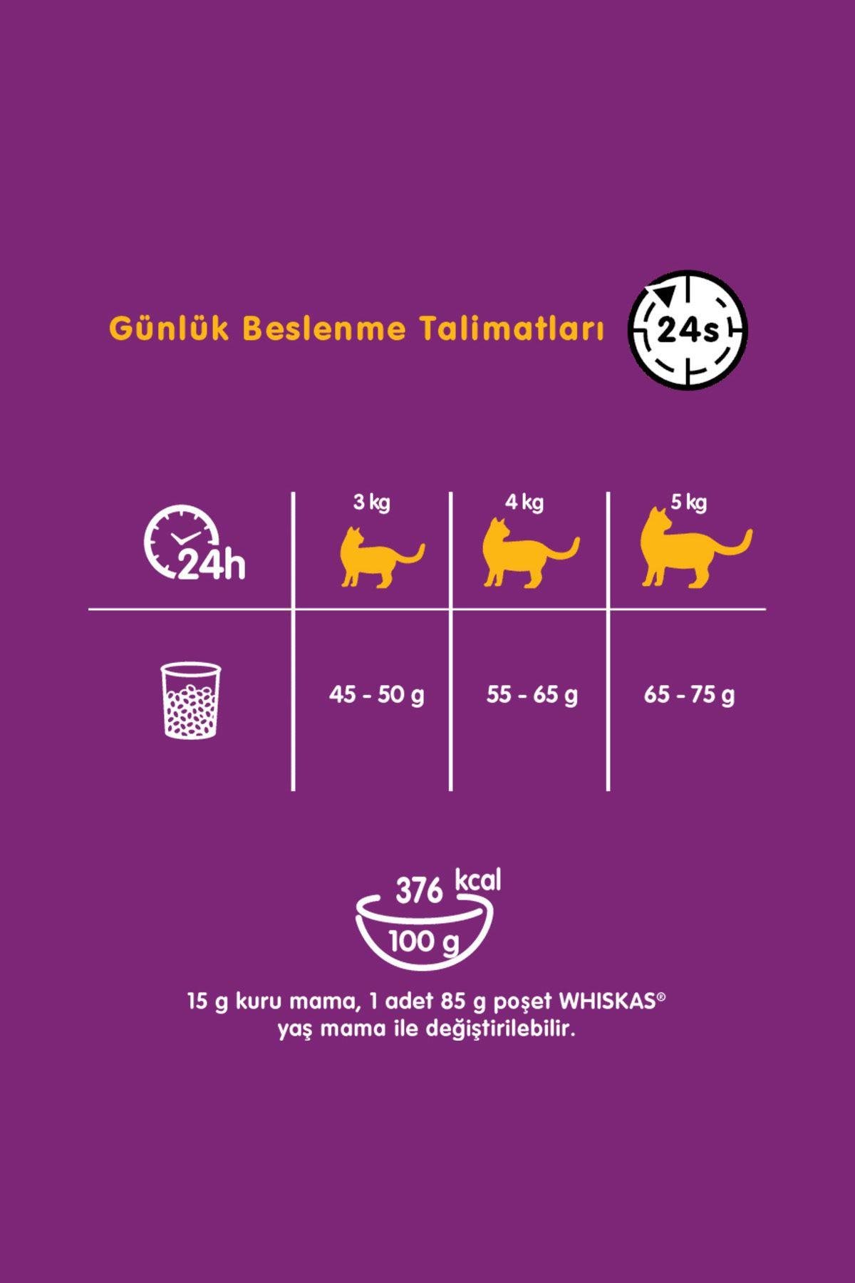 Whiskas Ton Balıklı Kuru Mama 300 G