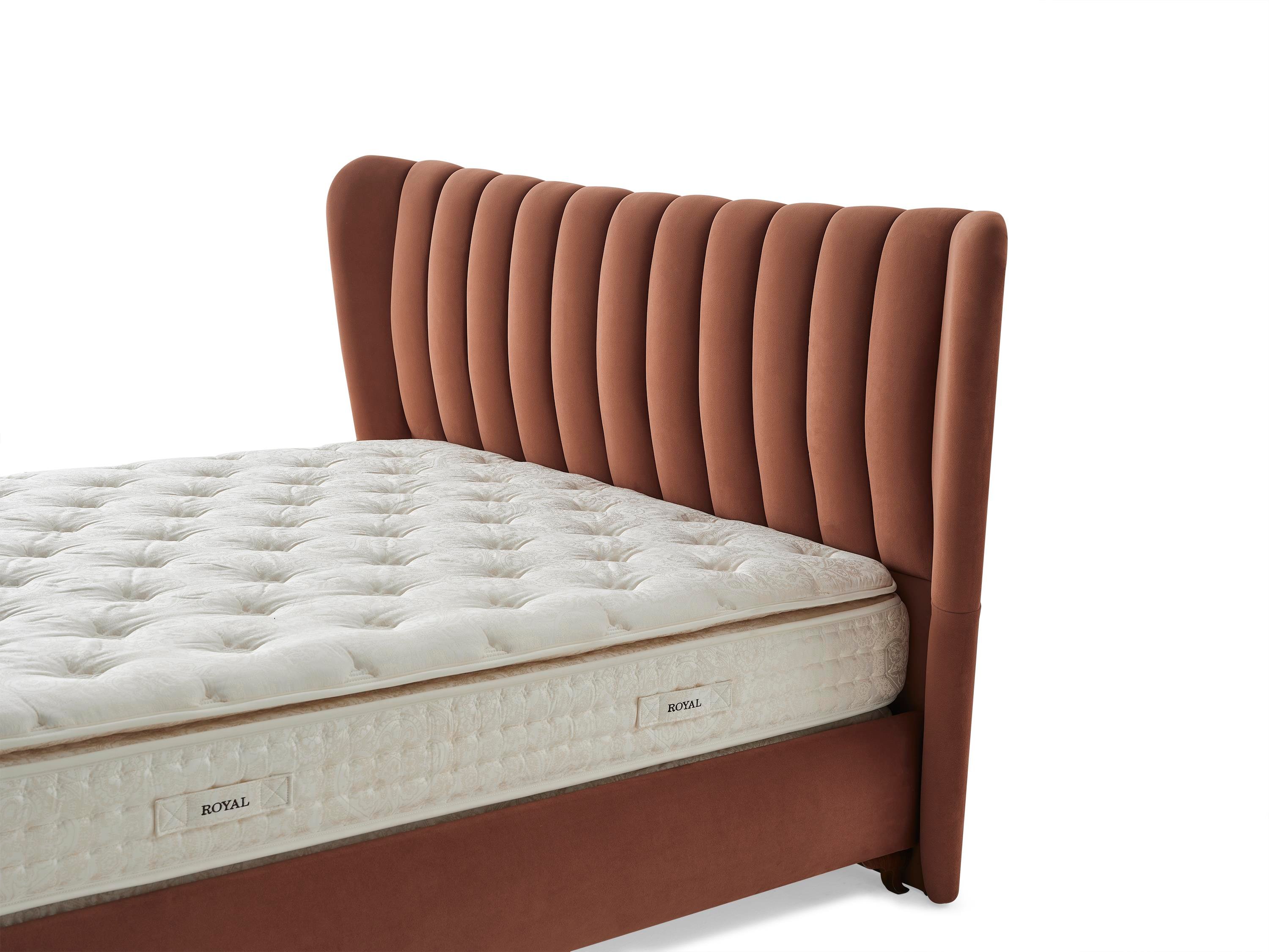 PERİ KANATLI BAŞLIK