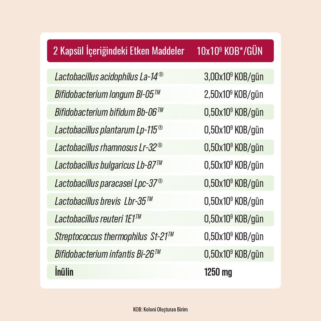 Probien Probiyotik ve Prebiyotik  DRcaps 30 Kapsül