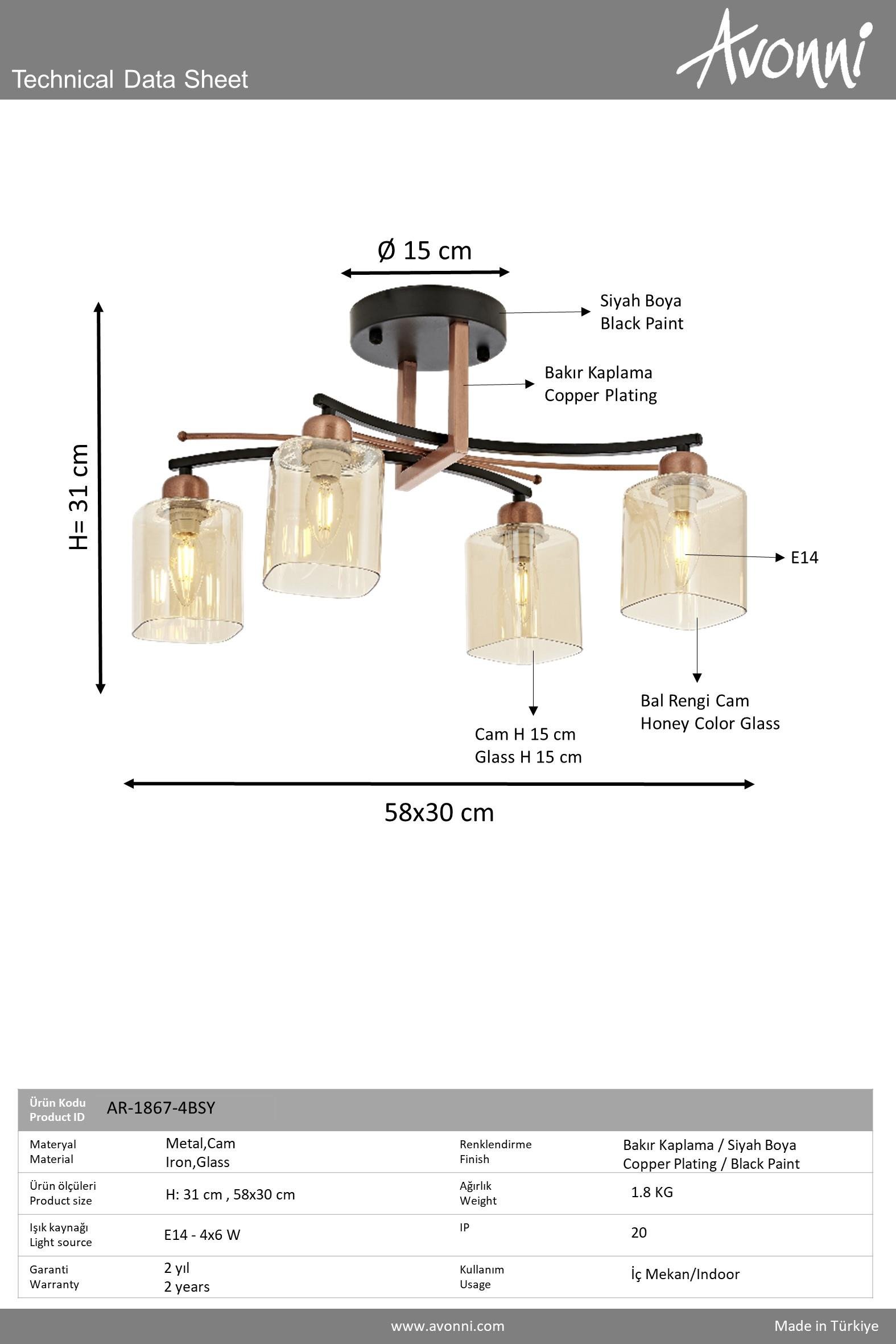Avonni, 1867 Ailesi Siyah Boyalı Modern Avize 