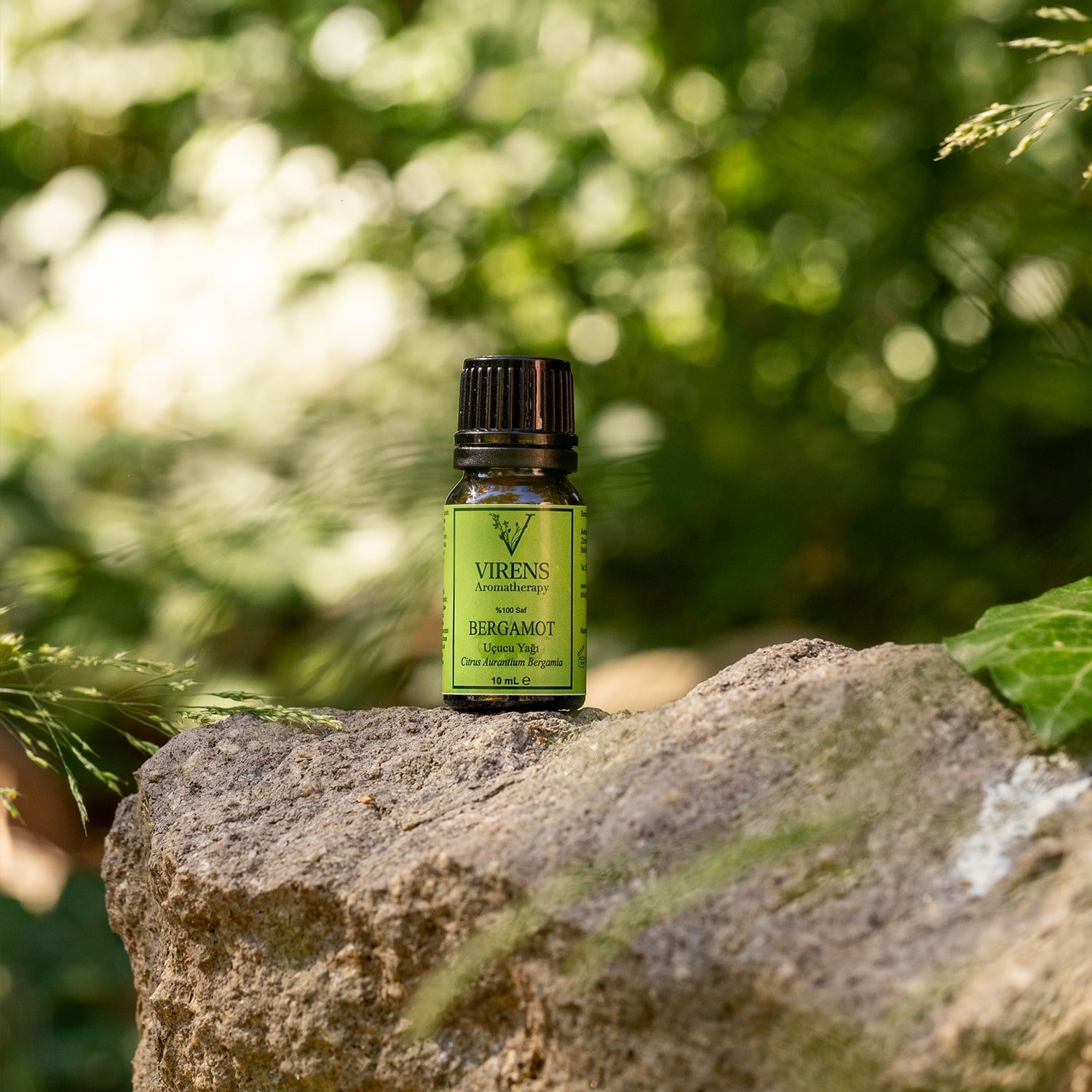 Bergamot  Uçucu Yağı