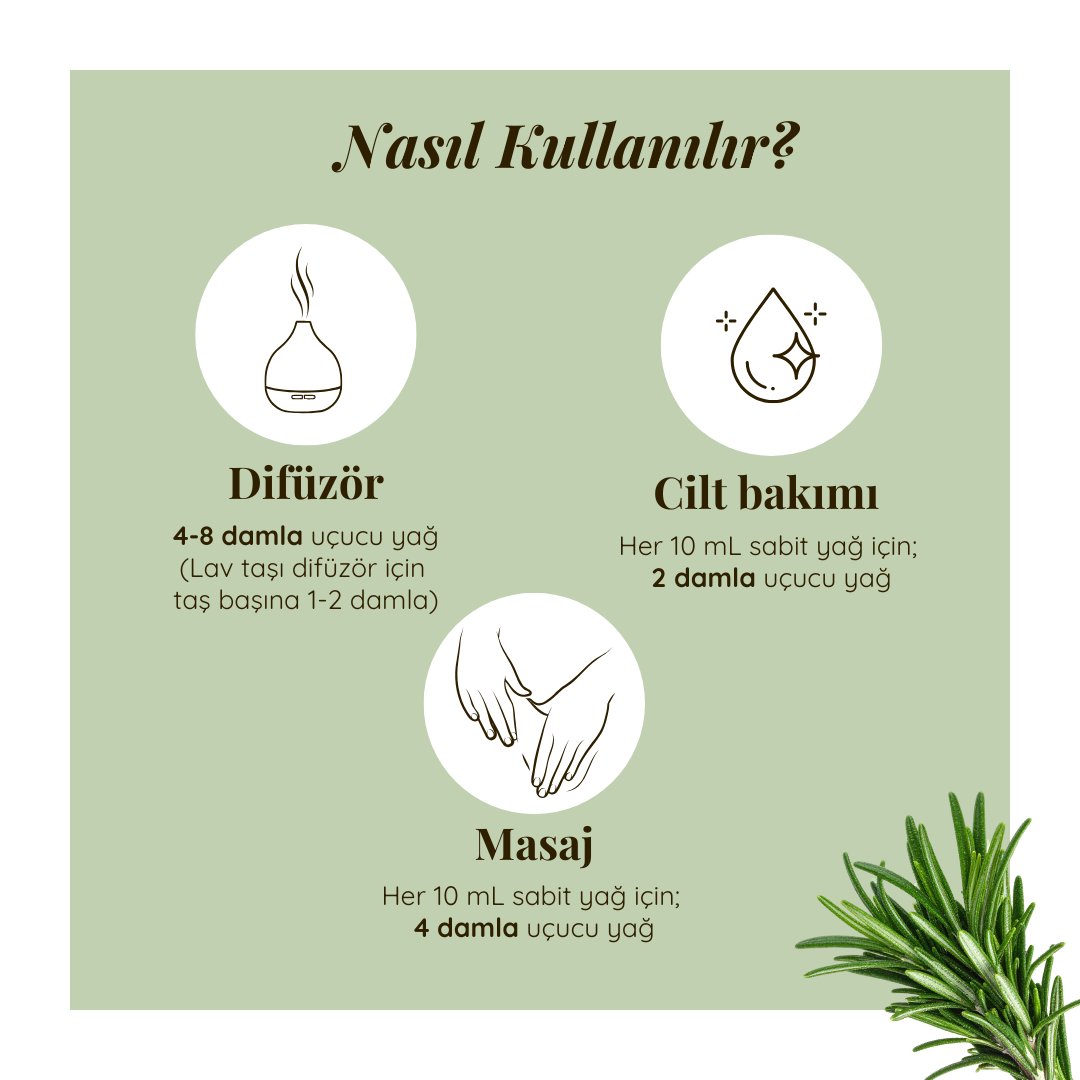 Biberiye Uçucu Yağı