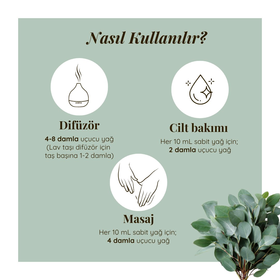 Okaliptus Uçucu Yağı