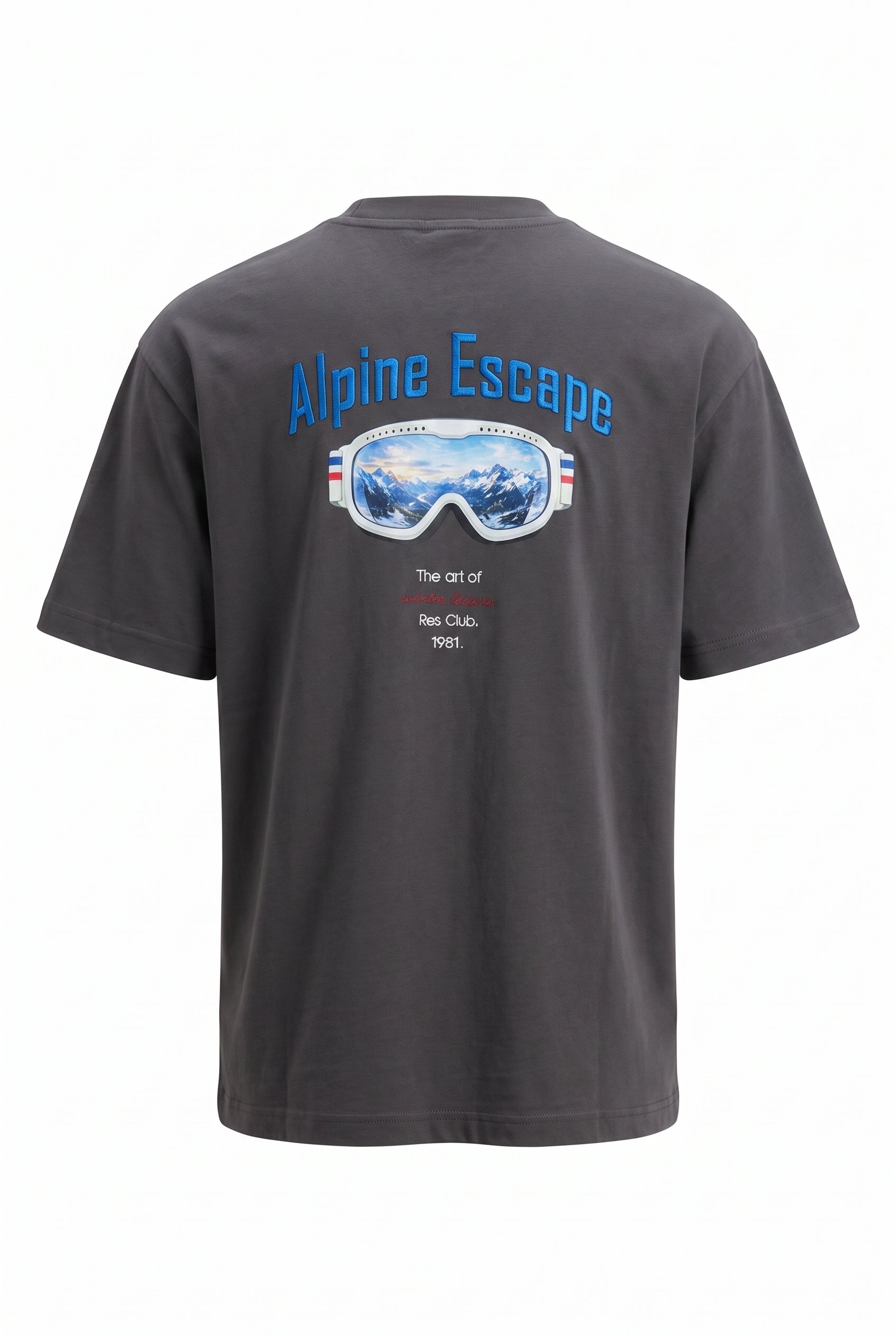 Erkek Alpine Nakışlı Oversize T-Shirt Füme