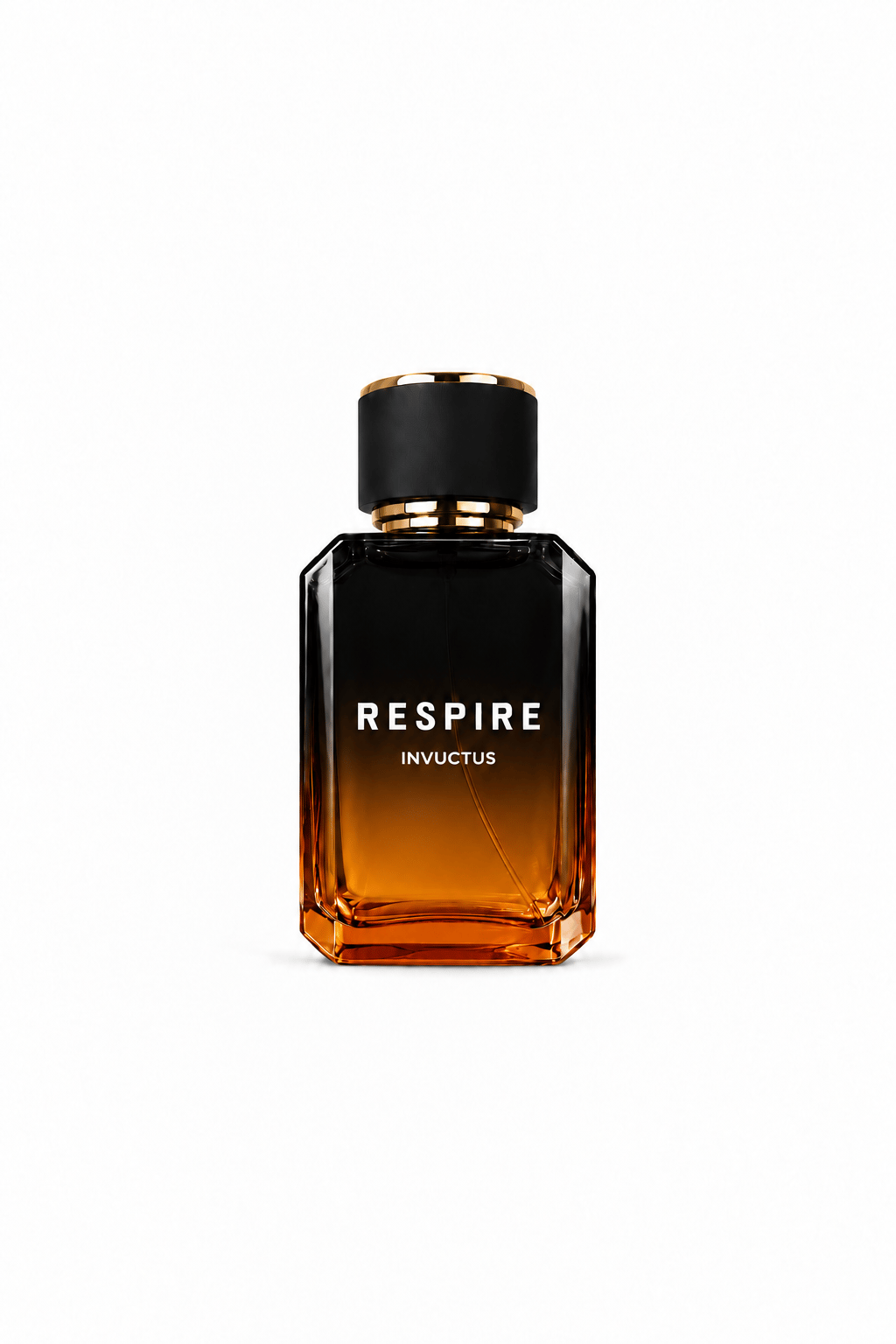 Erkek Invuctus Parfüm 100 ml