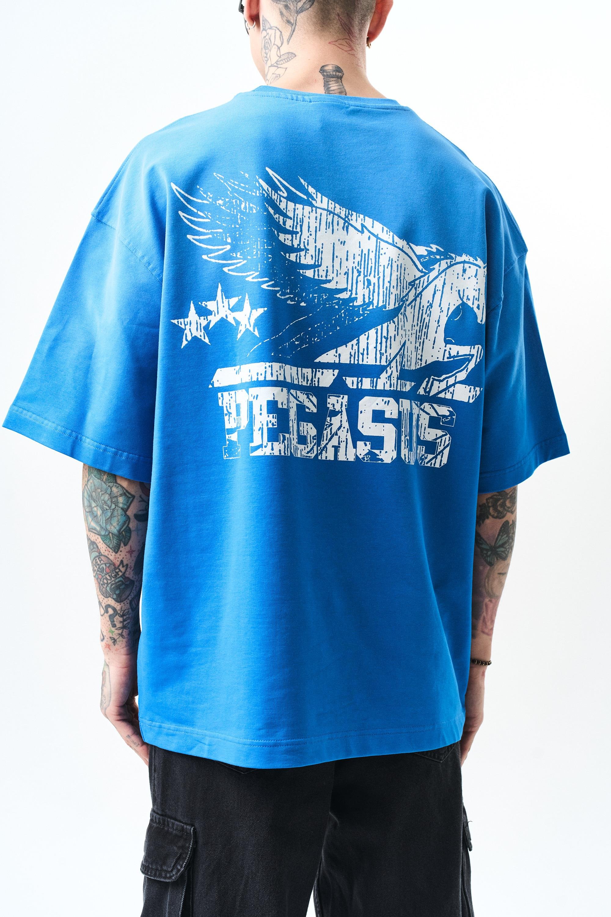 erkek-pegasus-baskili-oversize-t-shirt-25e-8f.jpg