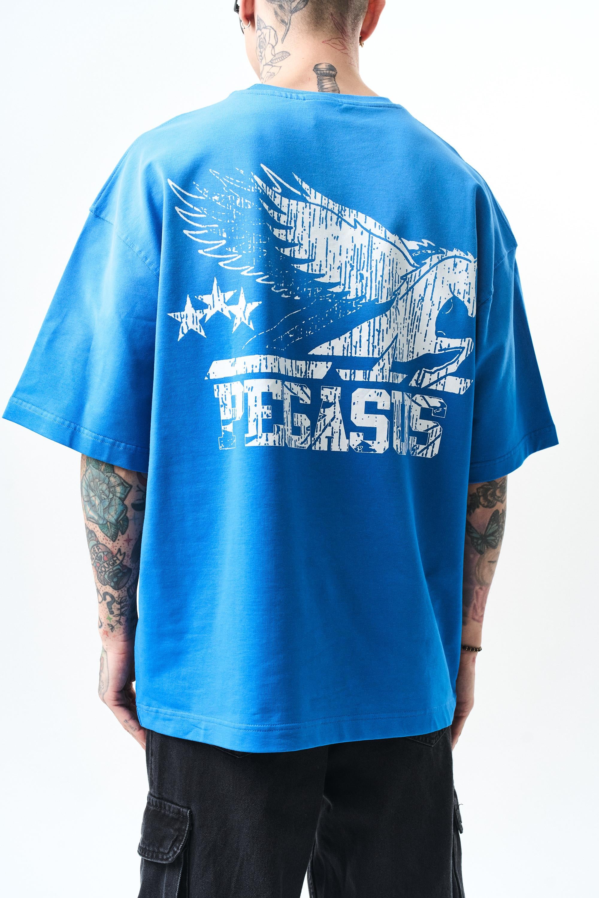 erkek-pegasus-baskili-oversize-t-shirt-a7-b65.jpg