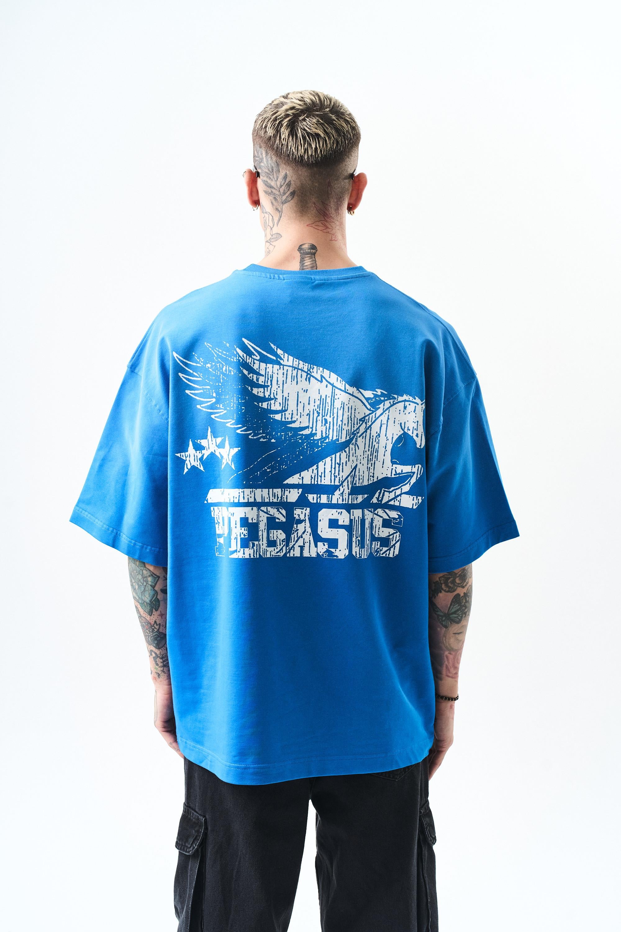 erkek-pegasus-baskili-oversize-t-shirt-bf8-d1.jpg