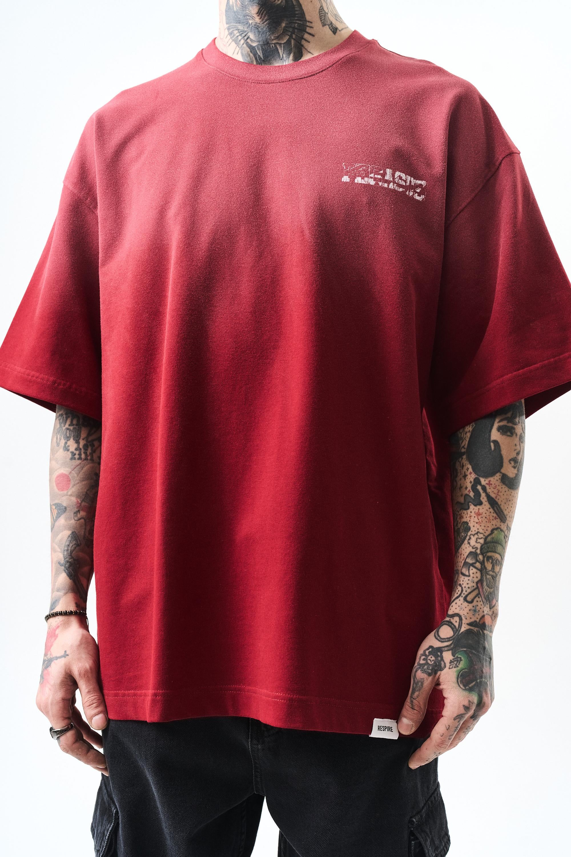 erkek-pegasus-baskili-oversize-t-shirt-d97-1a.jpg
