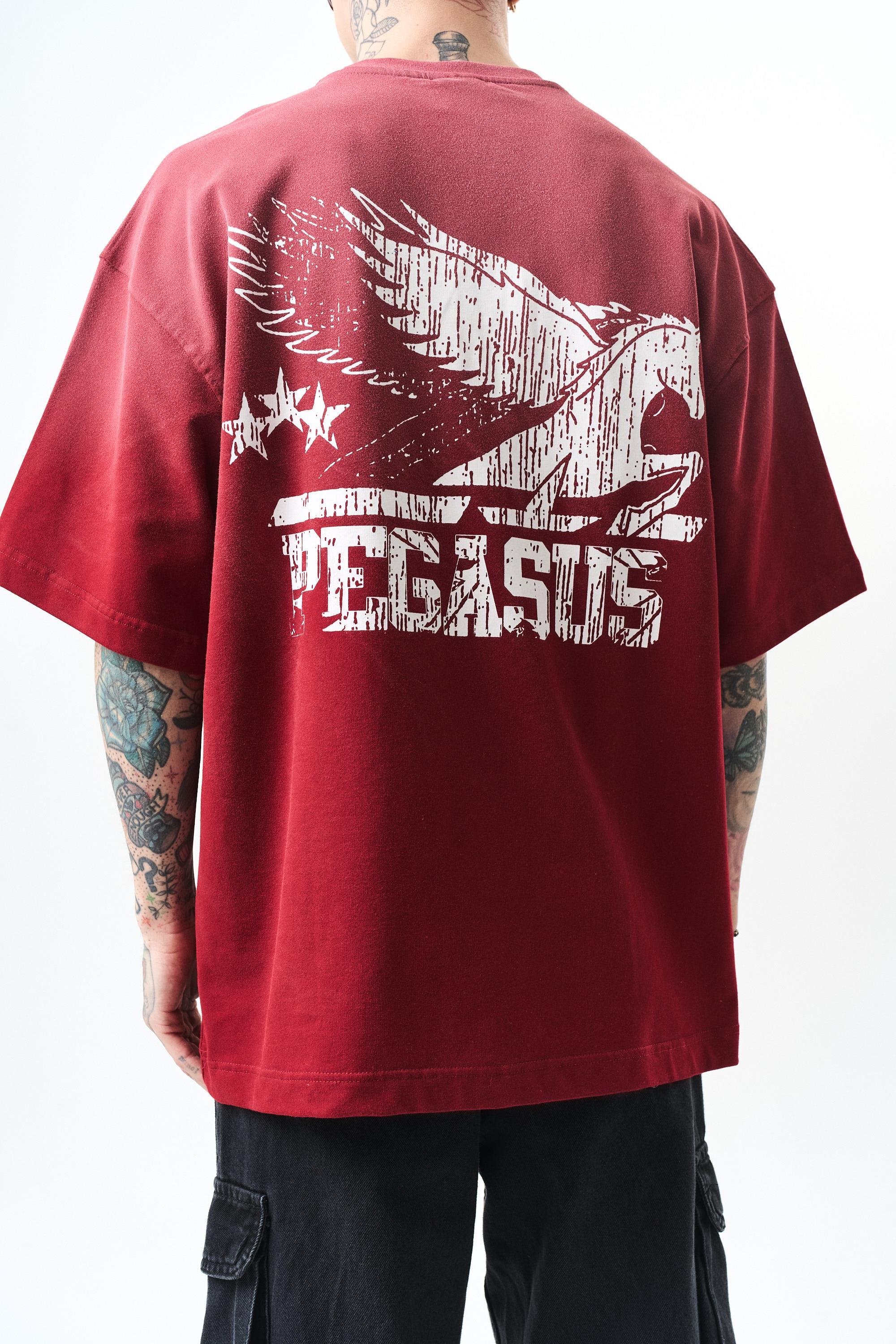 erkek-pegasus-baskili-oversize-t-shirt-e-94b4.jpg