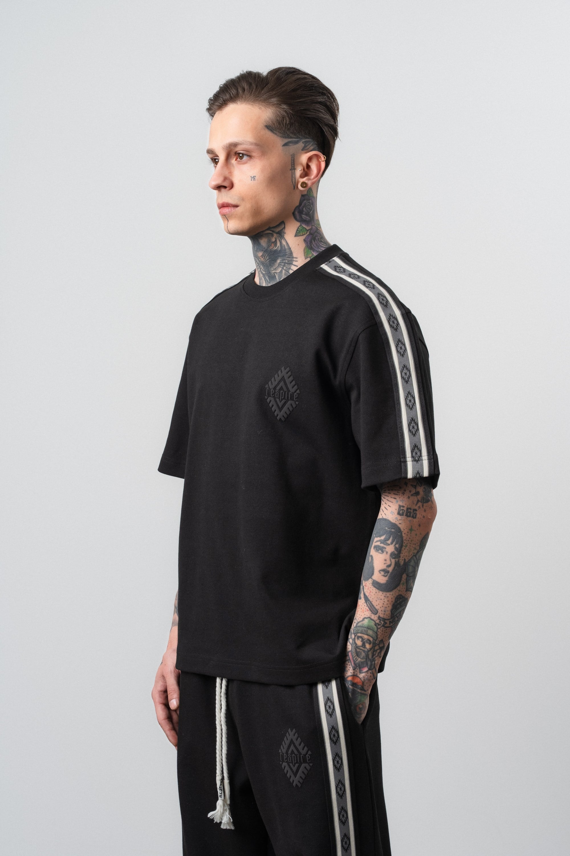 Erkek Şerit Detaylı Regular Fit T-Shirt Siyah