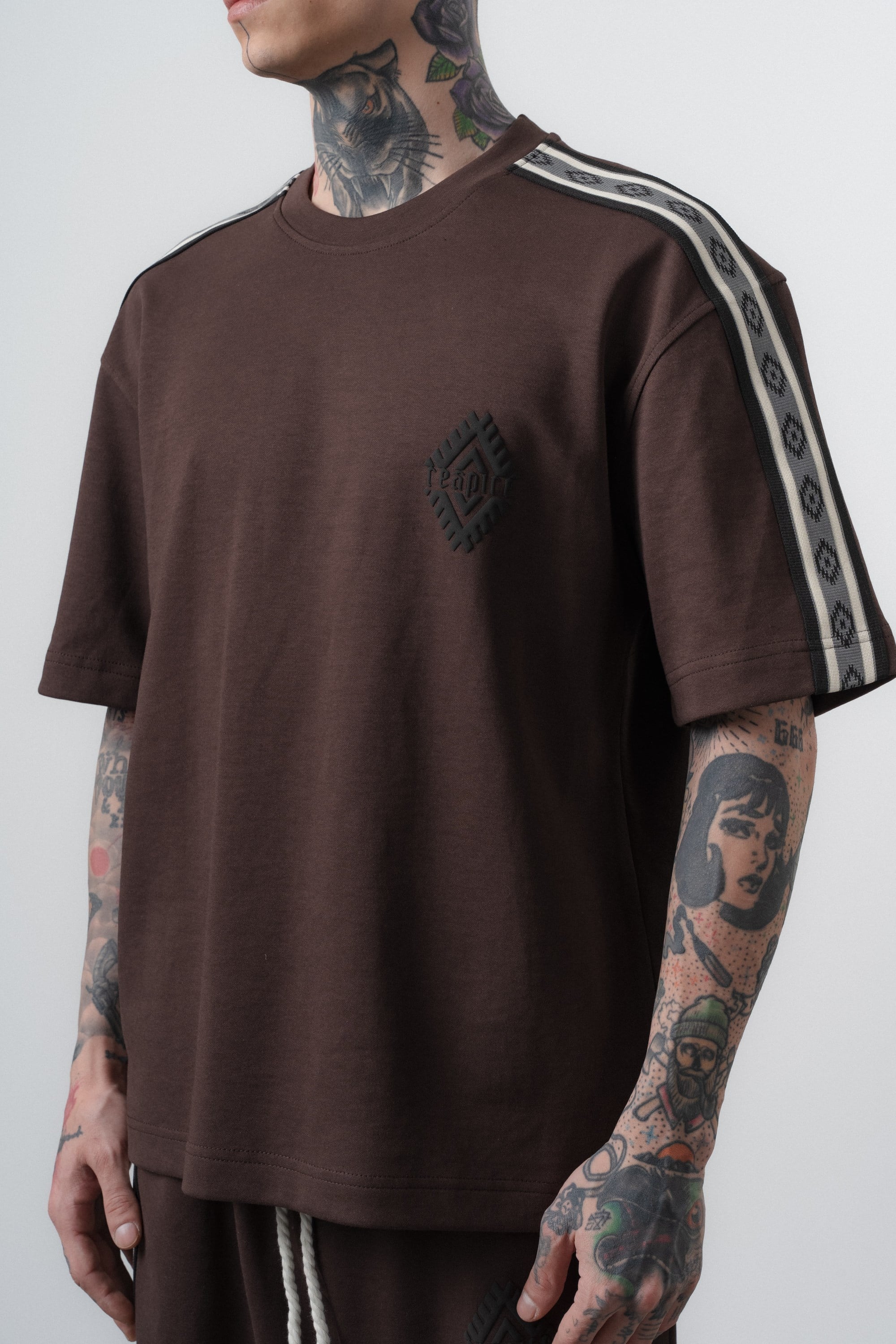 Erkek Şerit Detaylı Regular Fit T-Shirt Kahve