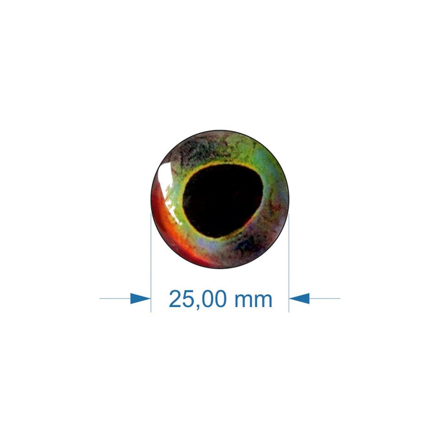 Balık gözü 25-02