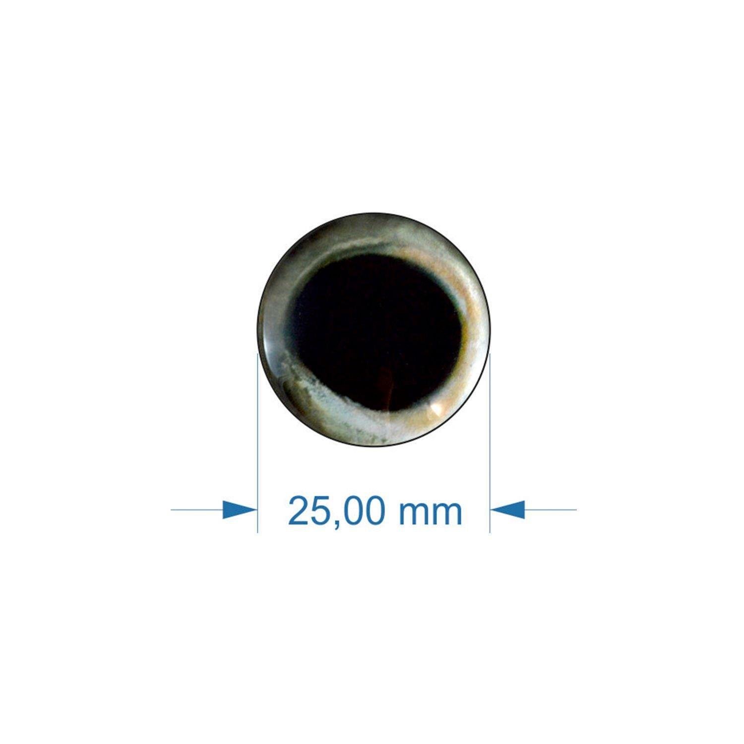 Balık Gözü 25-03