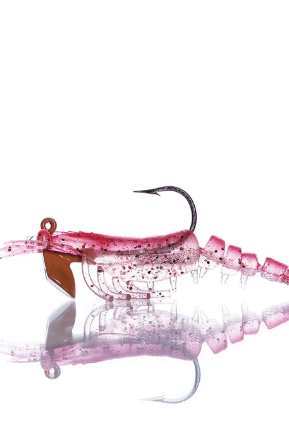 Pandora Karides Caridina Y.UNCU