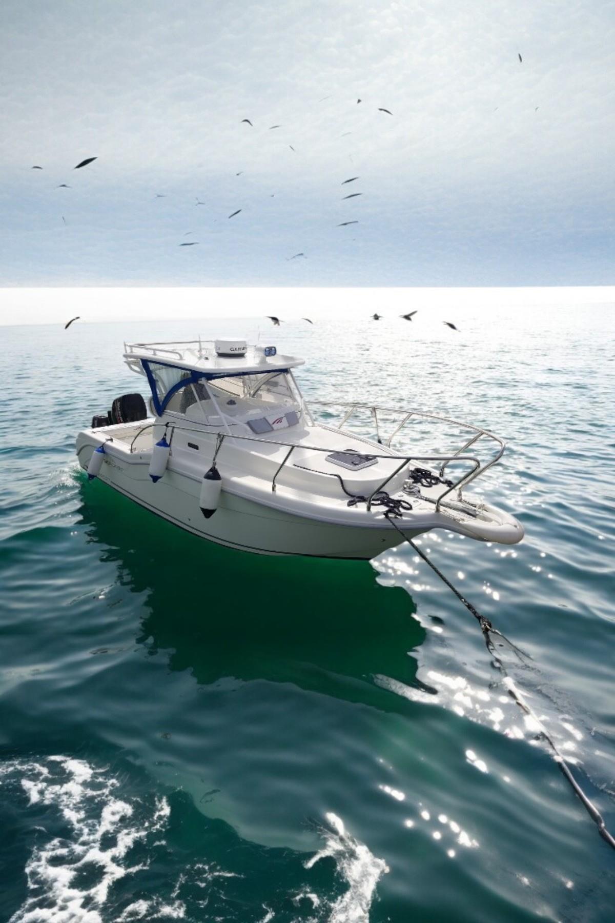 SEAGAME 270 SPORT