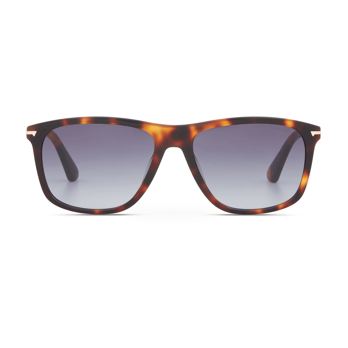 CERRUTI 1881 GÜNEŞ GÖZLÜĞÜ CR80115 56 C2