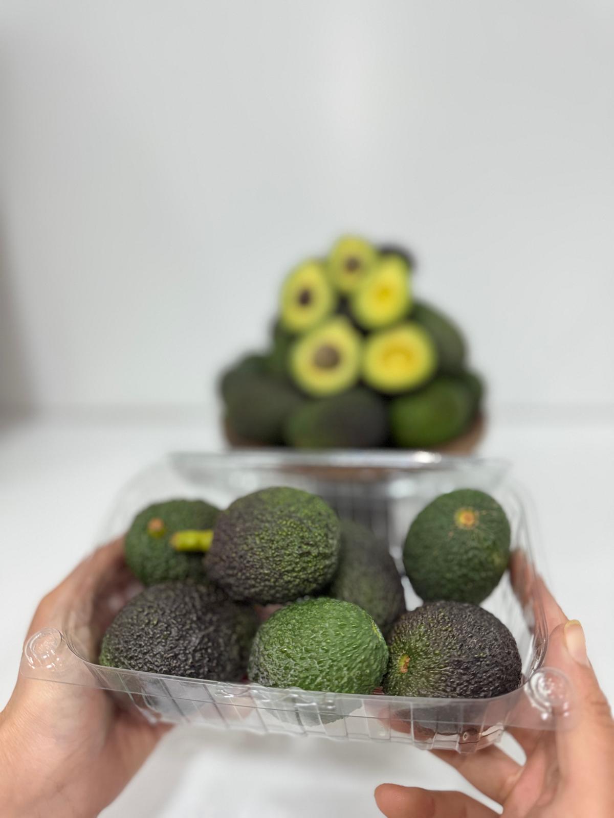 BABY ( MİNİ ) HASS AVOKADO (500GR)