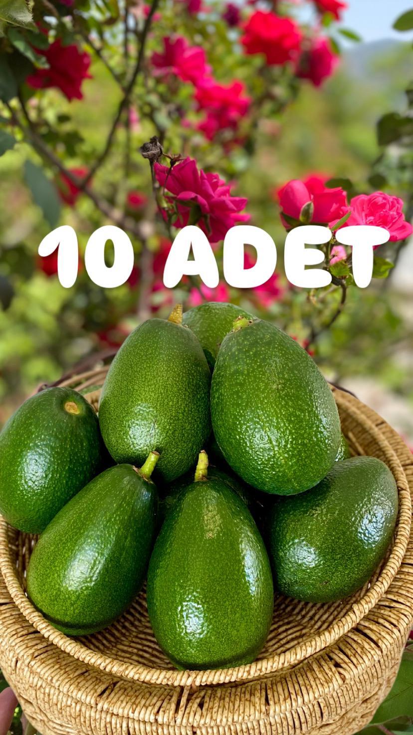 BACON AVOKADO 10 ADET ( 230 GR ÜZERİ )