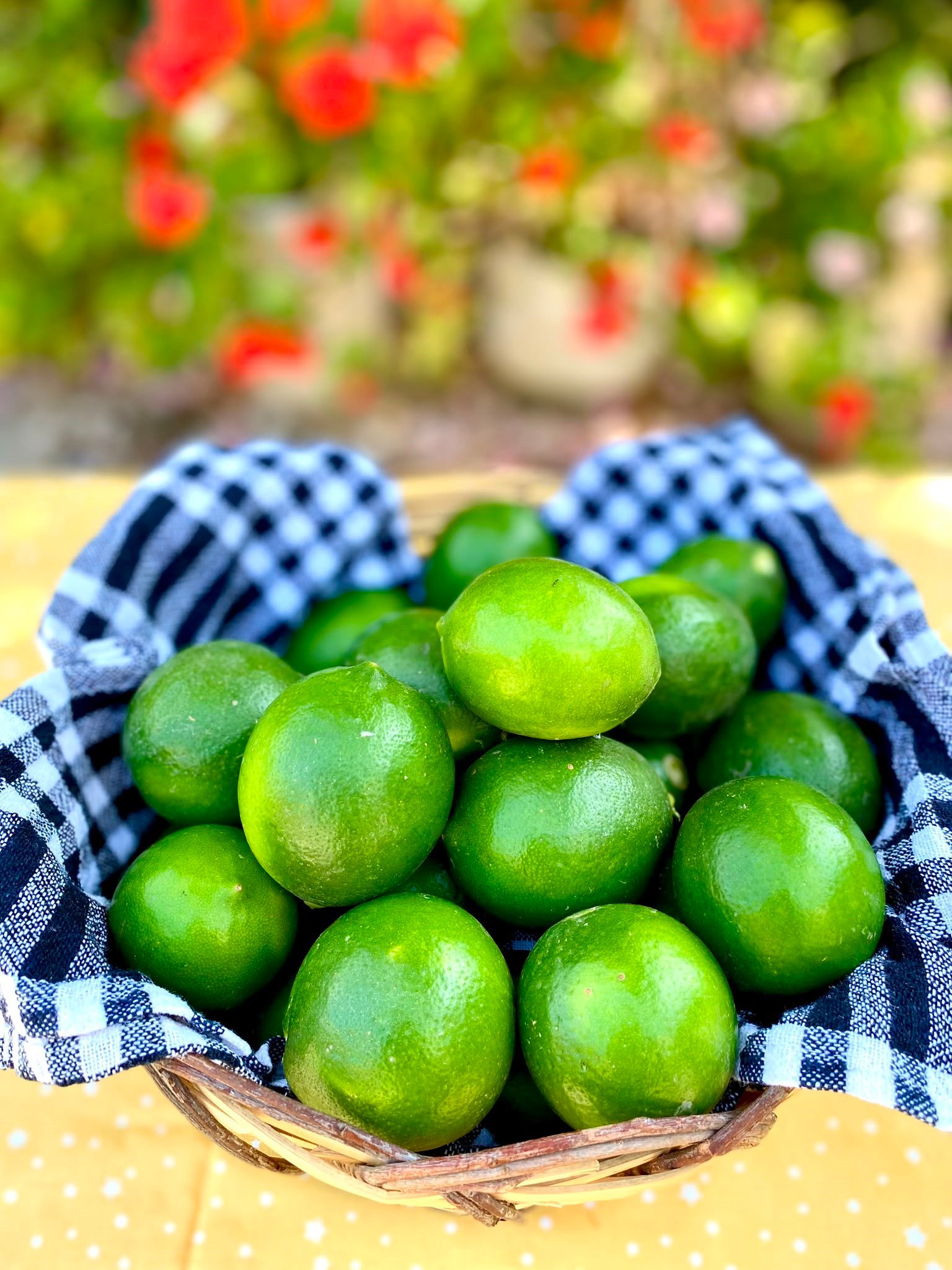 İri Boy Limon ( 3Kg )