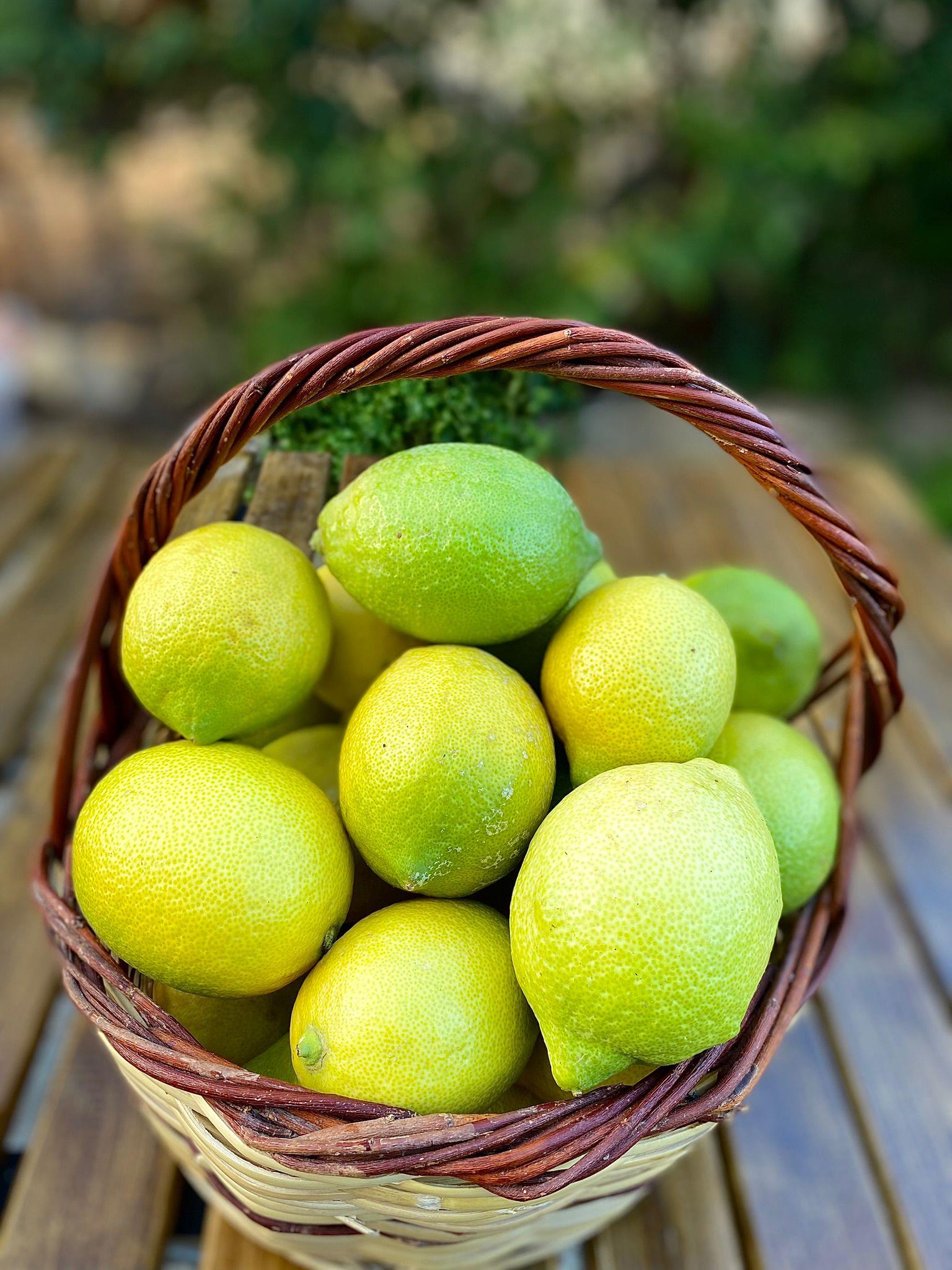 LİMON ( 1KG )