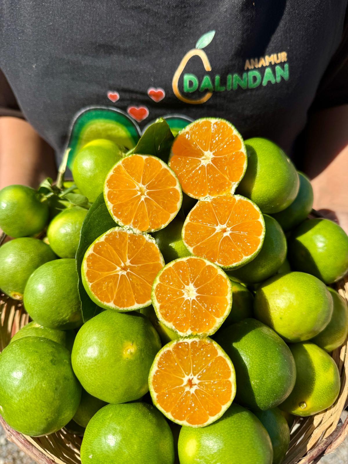 MİNİ MANDALİNA (1 Kg)