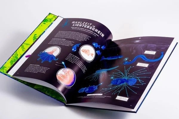 Thames & Hudson- Glow The Wild Wonders of Bioluminescence