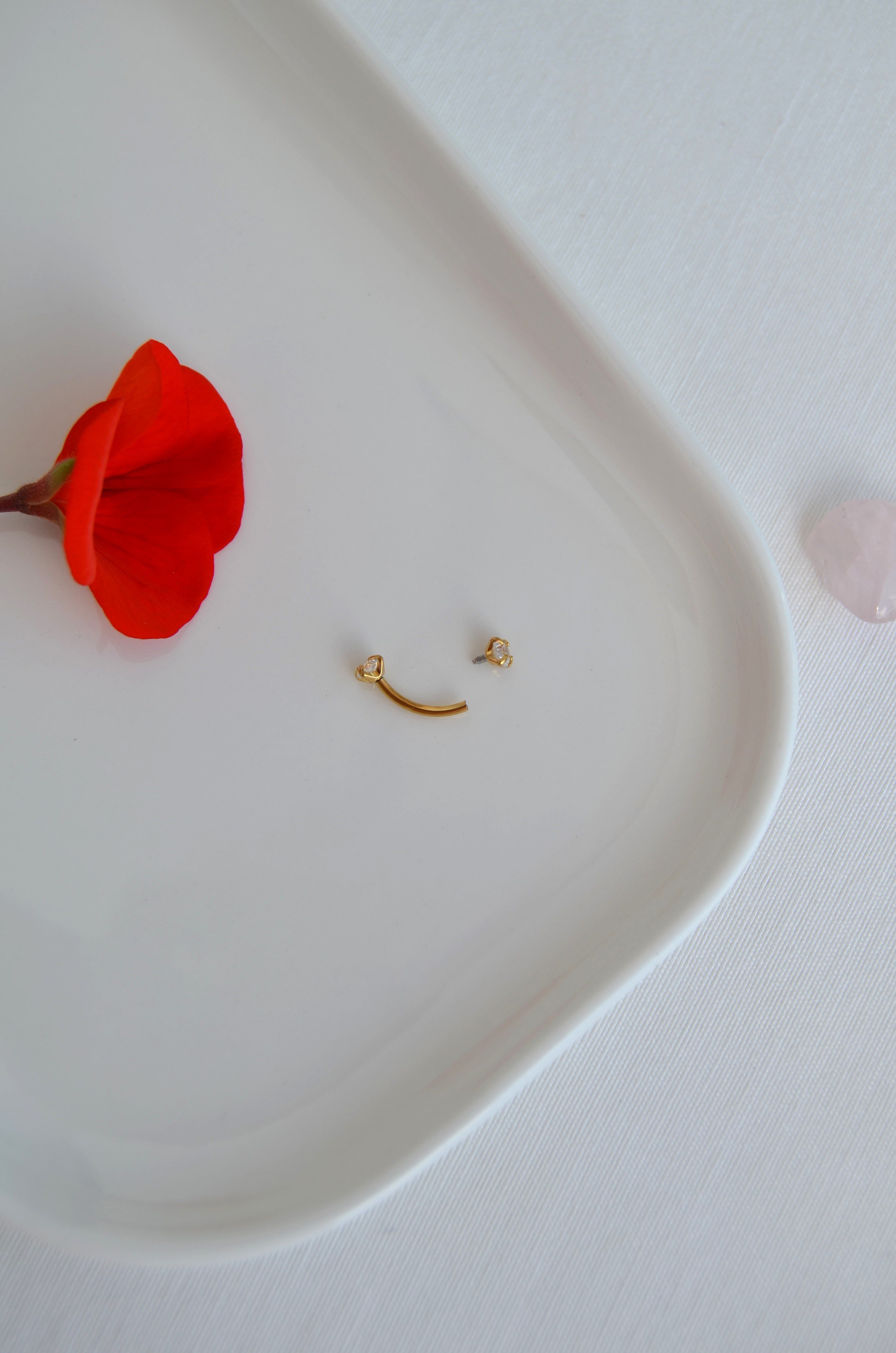 316L Çelik Zirkon Taşlı Kaş ve Rook Piercing