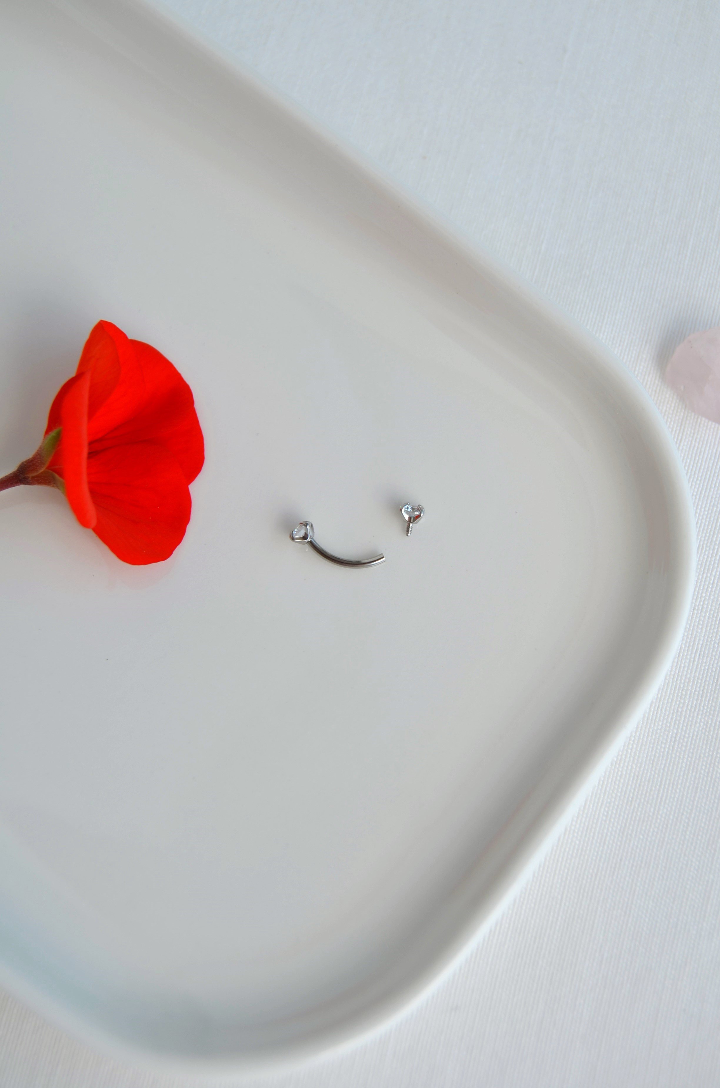 316L Çelik Zirkon Taşlı Kaş ve Rook Piercing